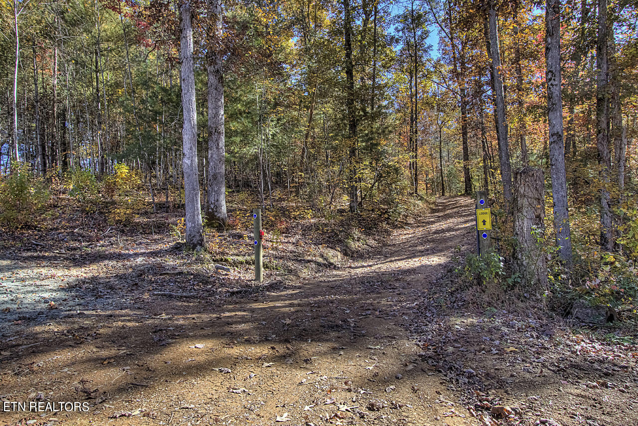 4903 Long Rifle Rd Property Photo 14