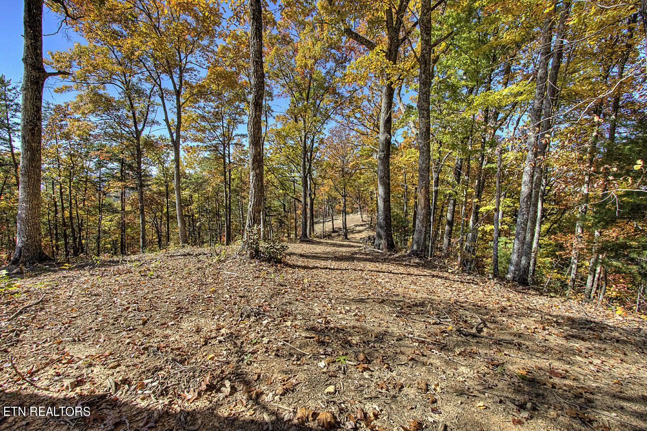 4903 Long Rifle Rd Property Photo 15