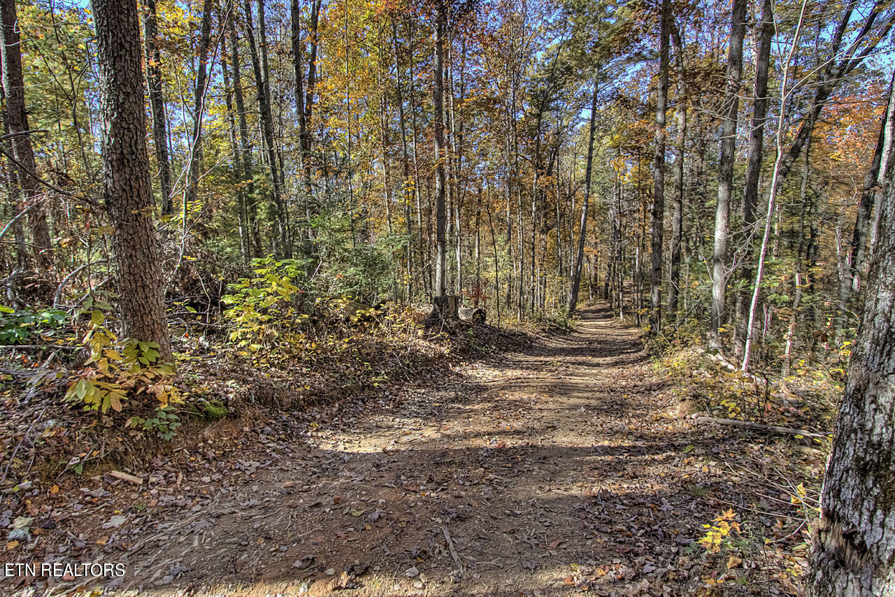 4903 Long Rifle Rd Property Photo 27