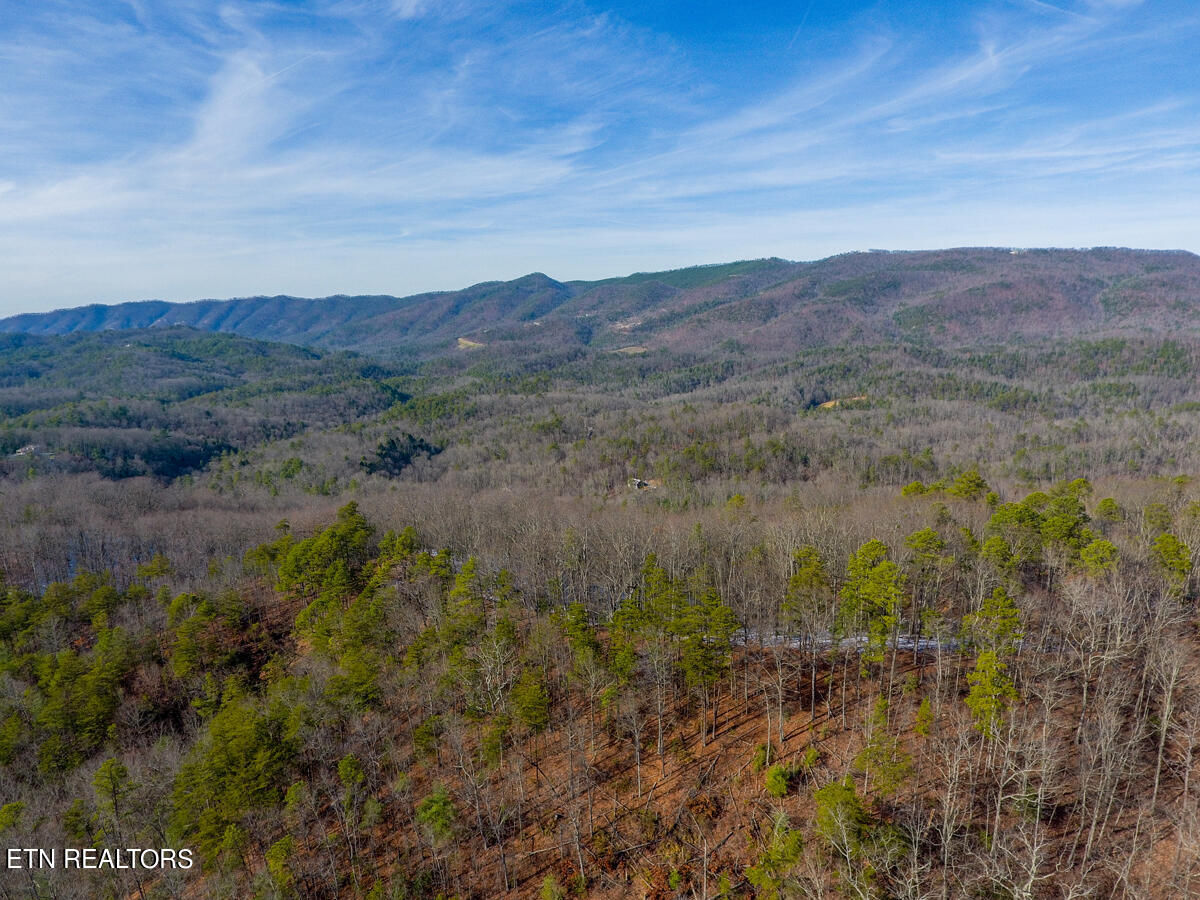 4903 Long Rifle Rd Property Photo 37