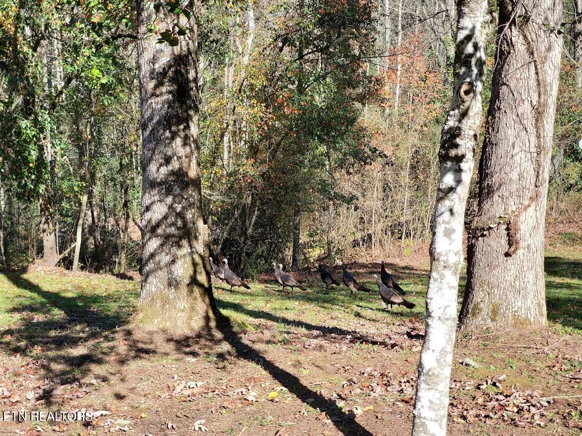 4903 Long Rifle Rd Property Photo 38