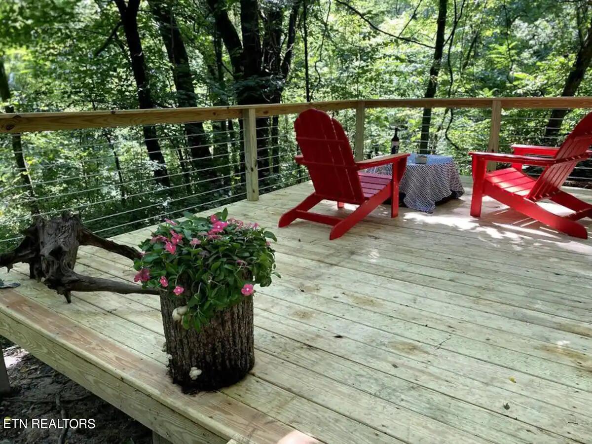 658 English Mountain Rd Property Photo 18