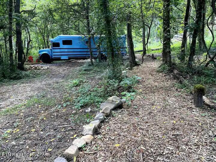 658 English Mountain Rd Property Photo 29