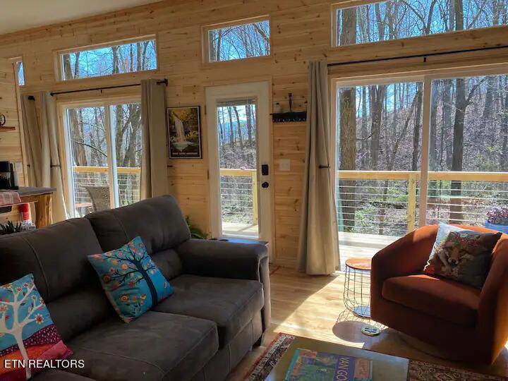 658 English Mountain Rd Property Photo 41