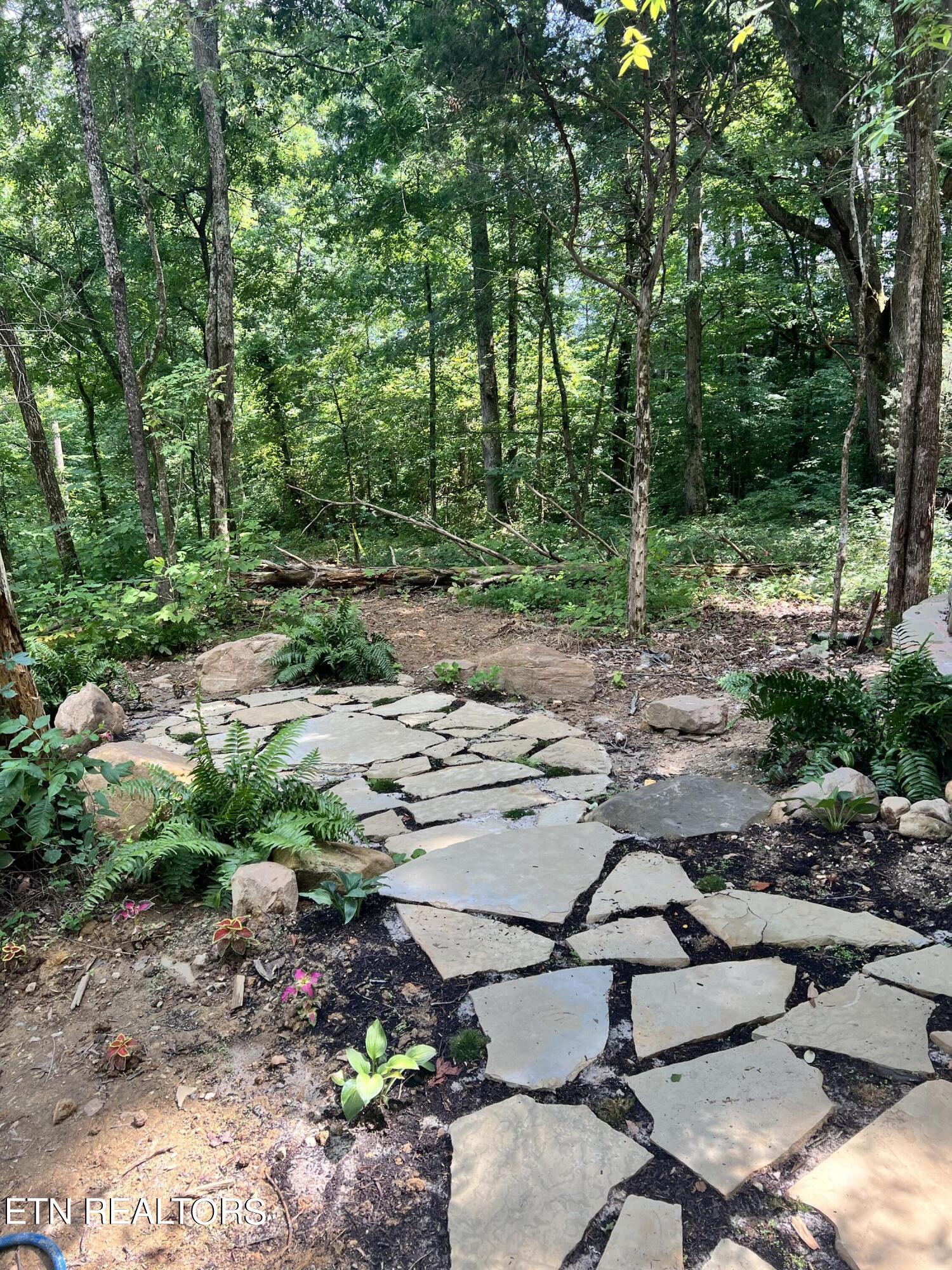 658 English Mountain Rd Property Photo 46