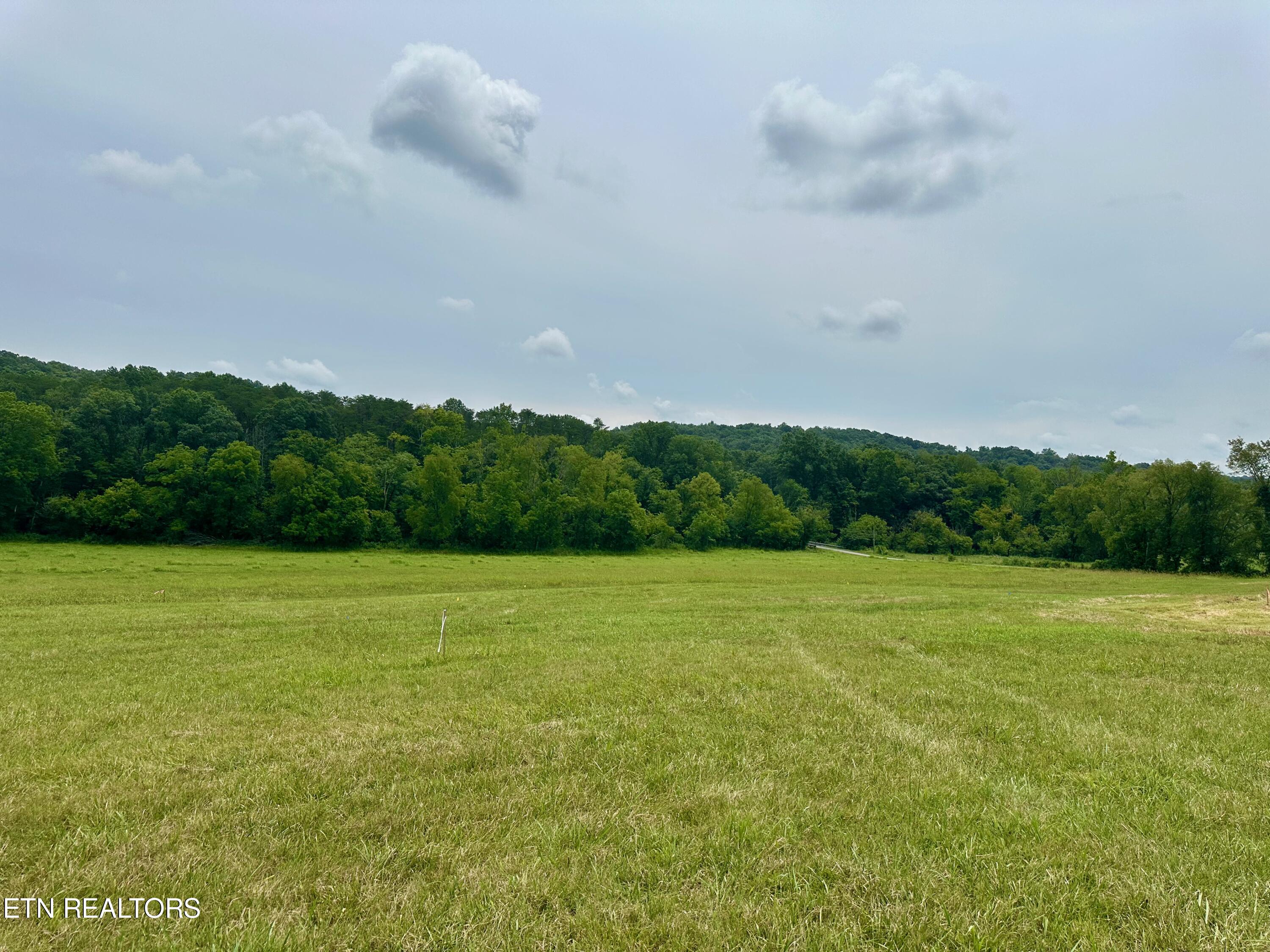 Lot 7 Rutledge Pike Property Photo