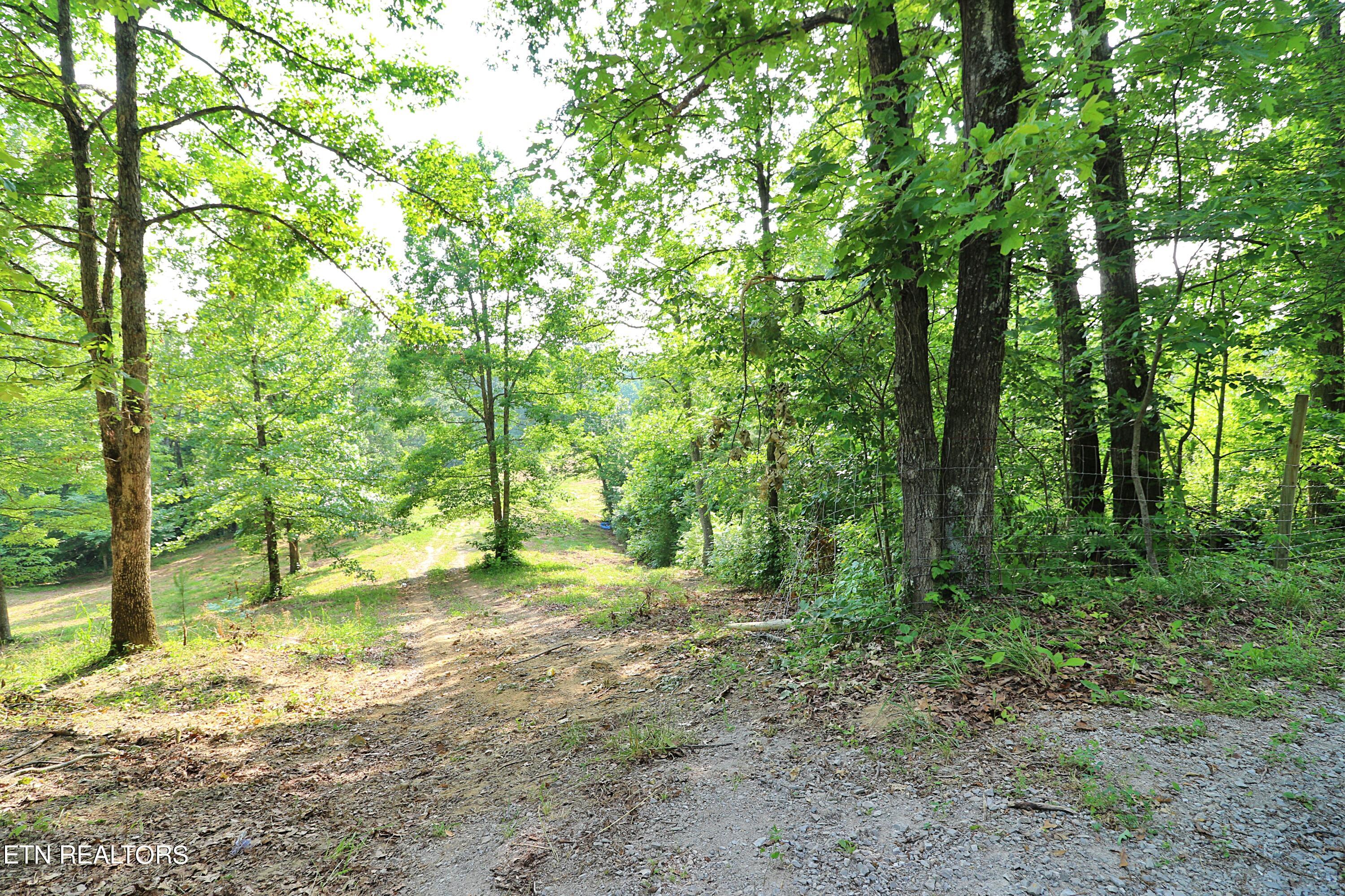 4989 Big Ridge Road Property Photo 16