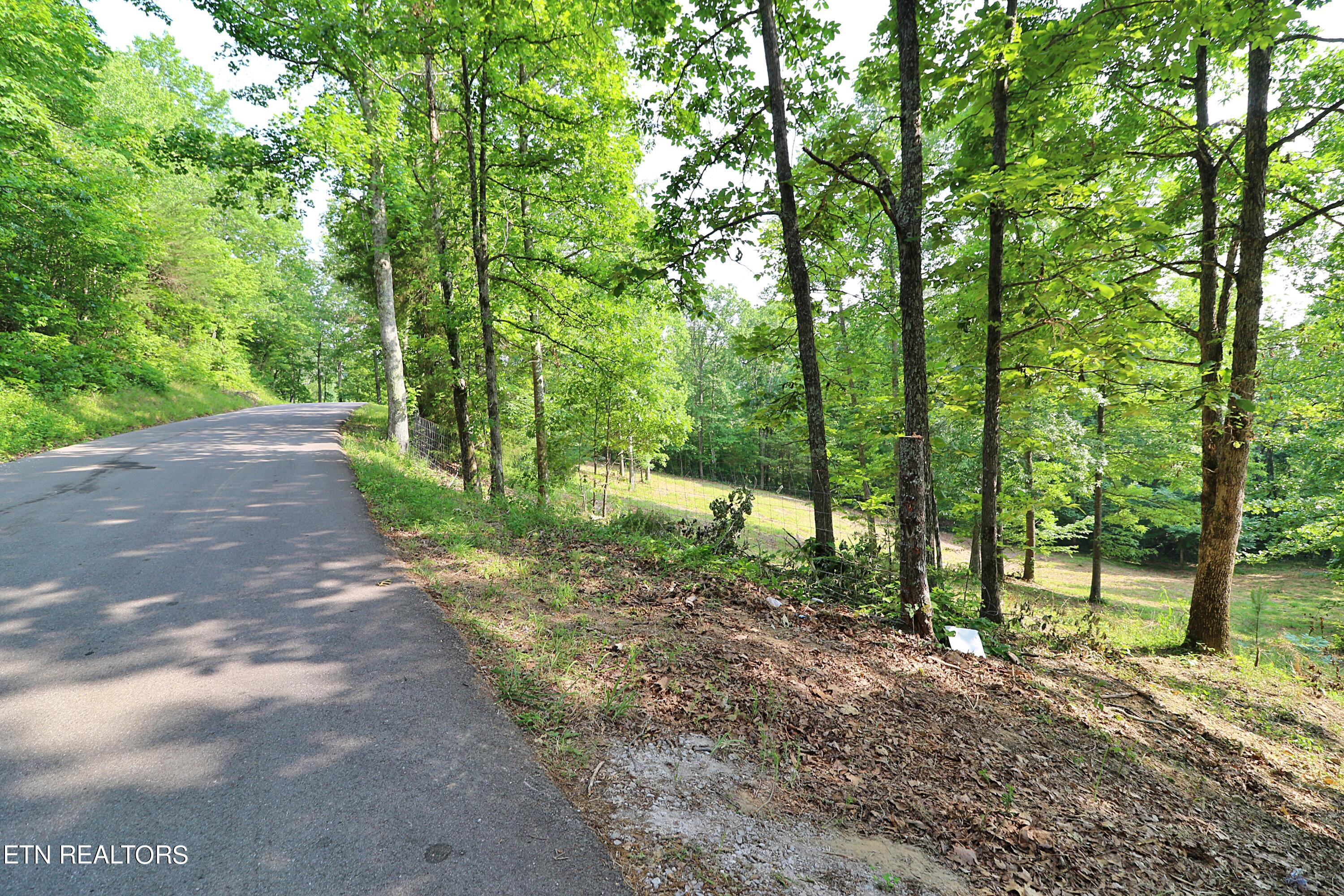 4989 Big Ridge Road Property Photo 17