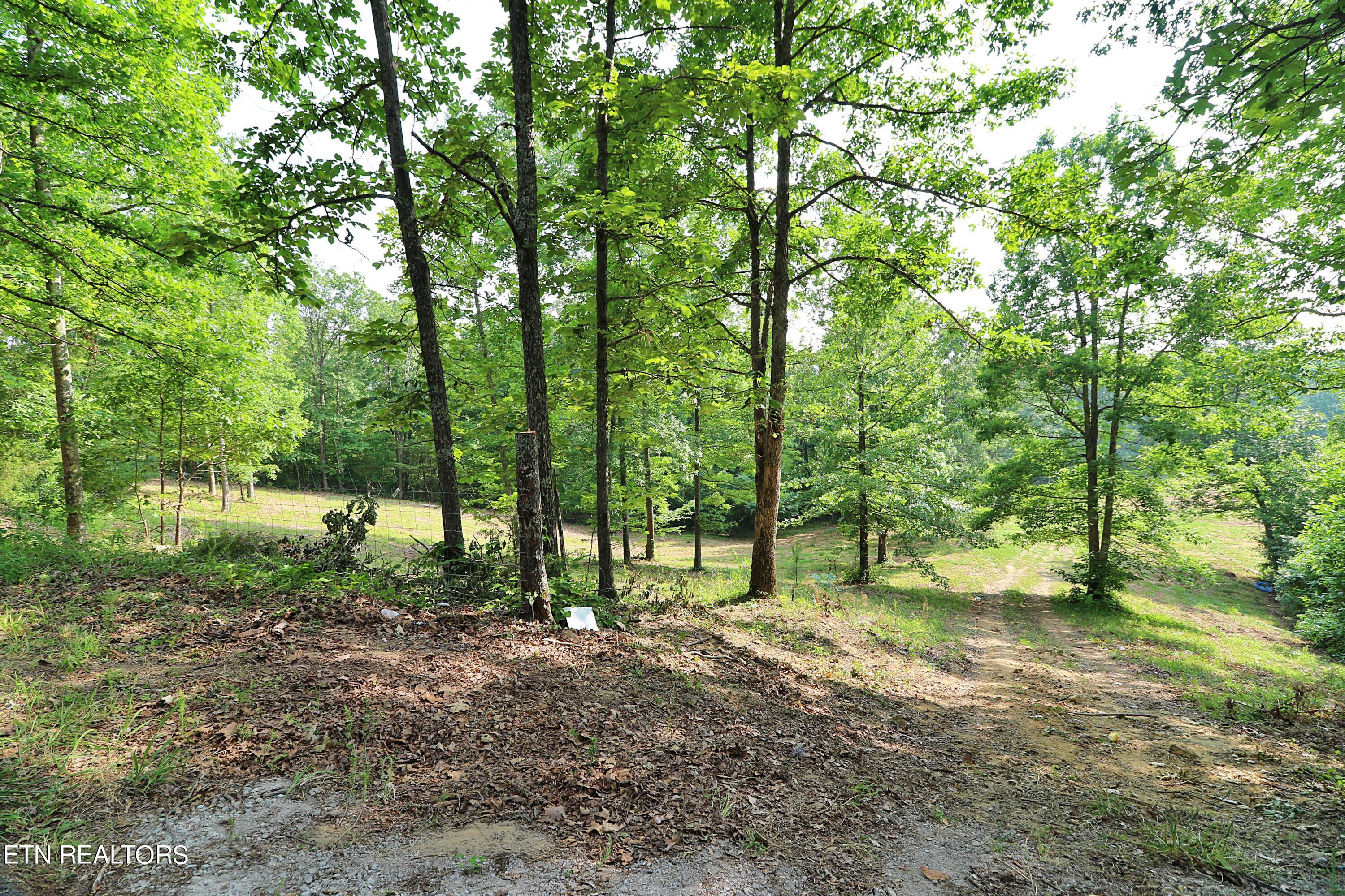 4989 Big Ridge Road Property Photo 18