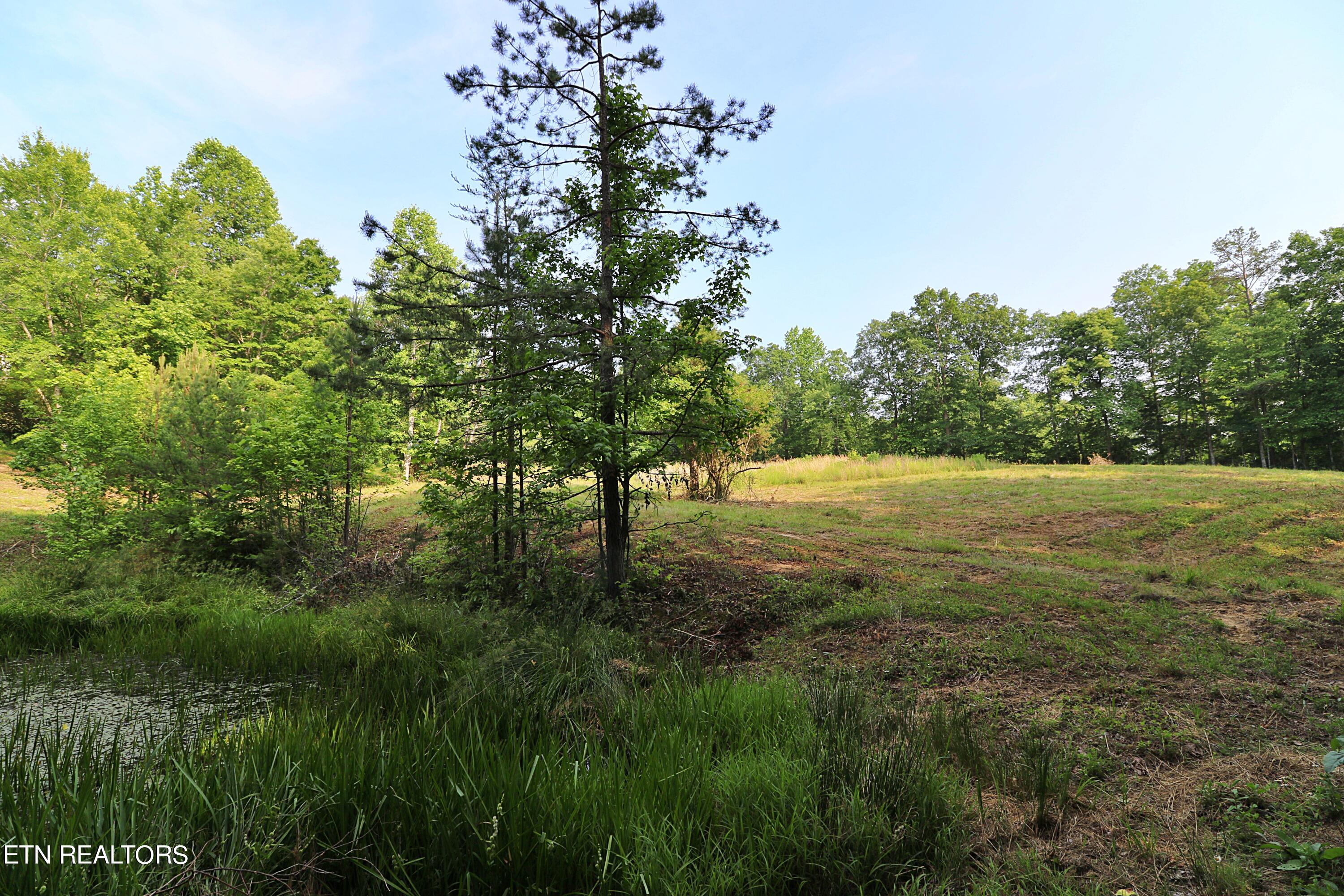 4989 Big Ridge Road Property Photo 31
