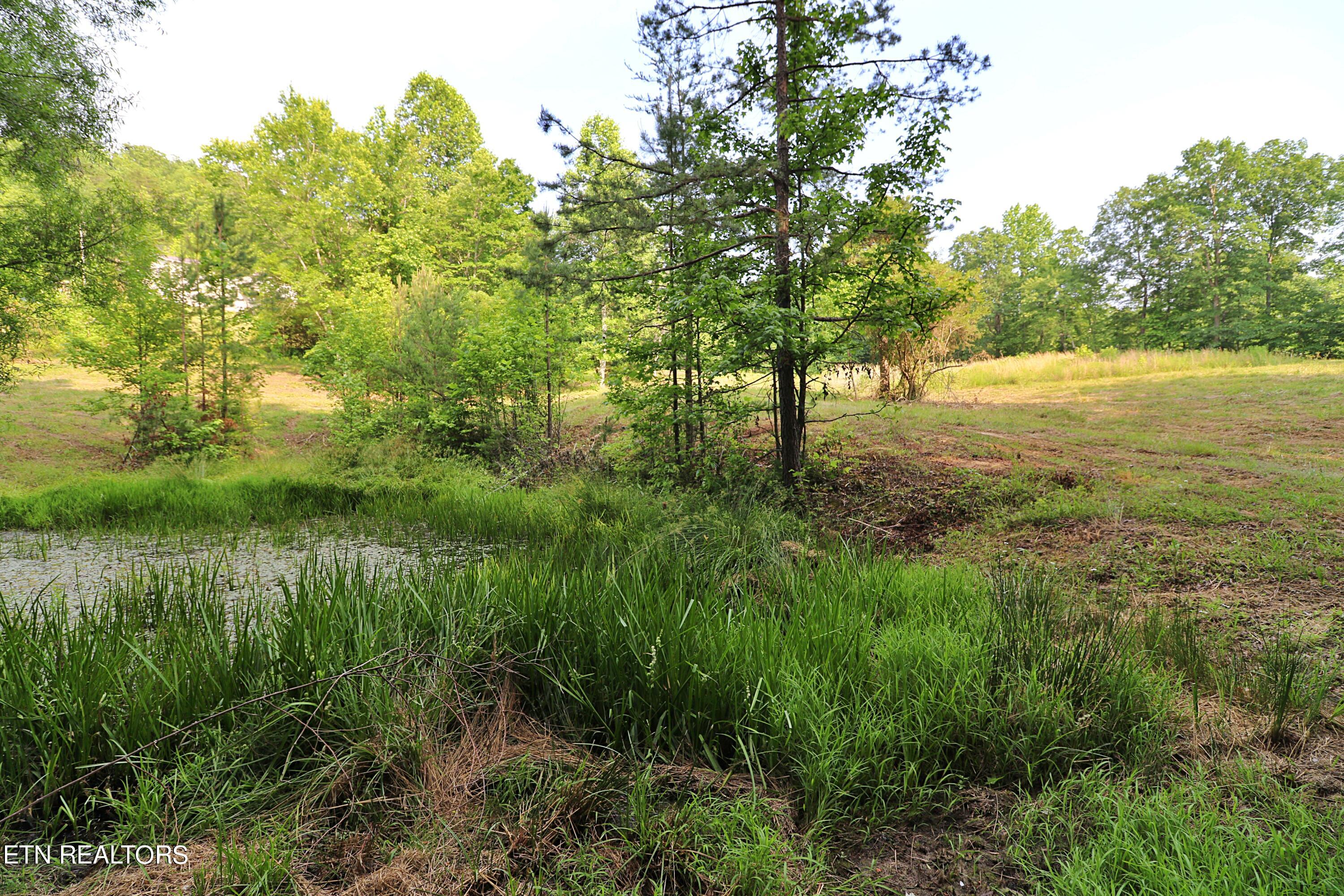 4989 Big Ridge Road Property Photo 32