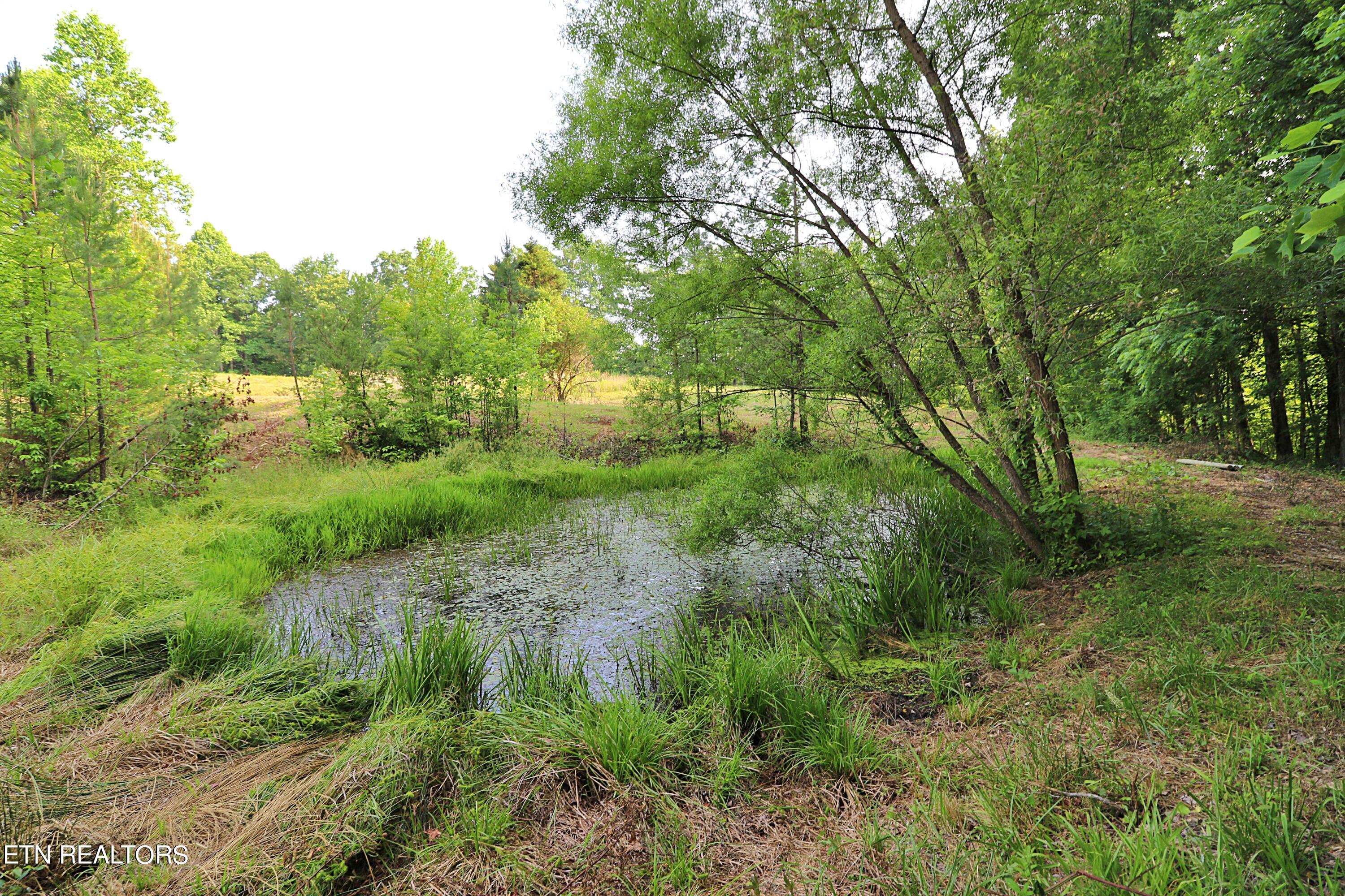 4989 Big Ridge Road Property Photo 33