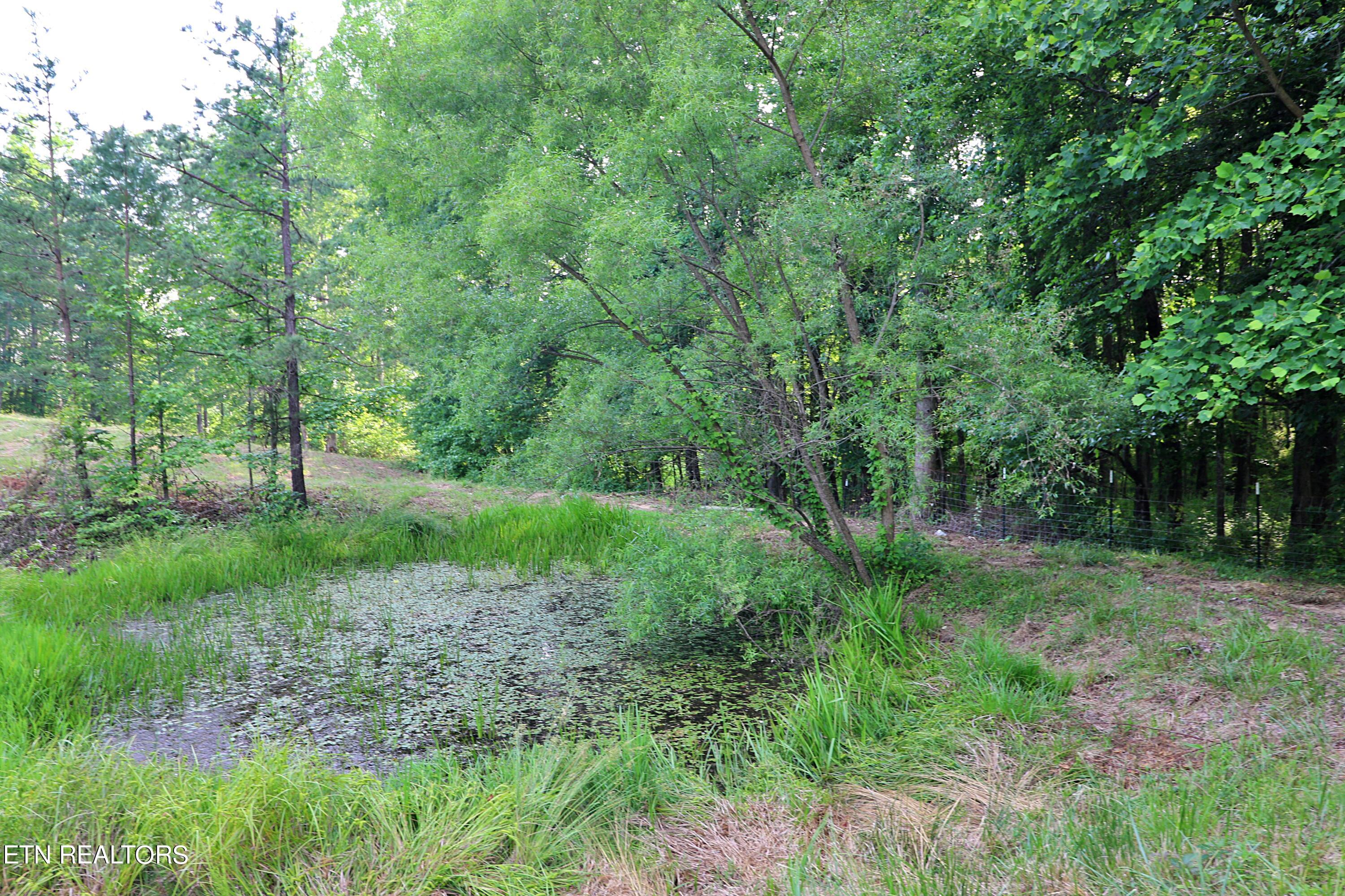 4989 Big Ridge Road Property Photo 34