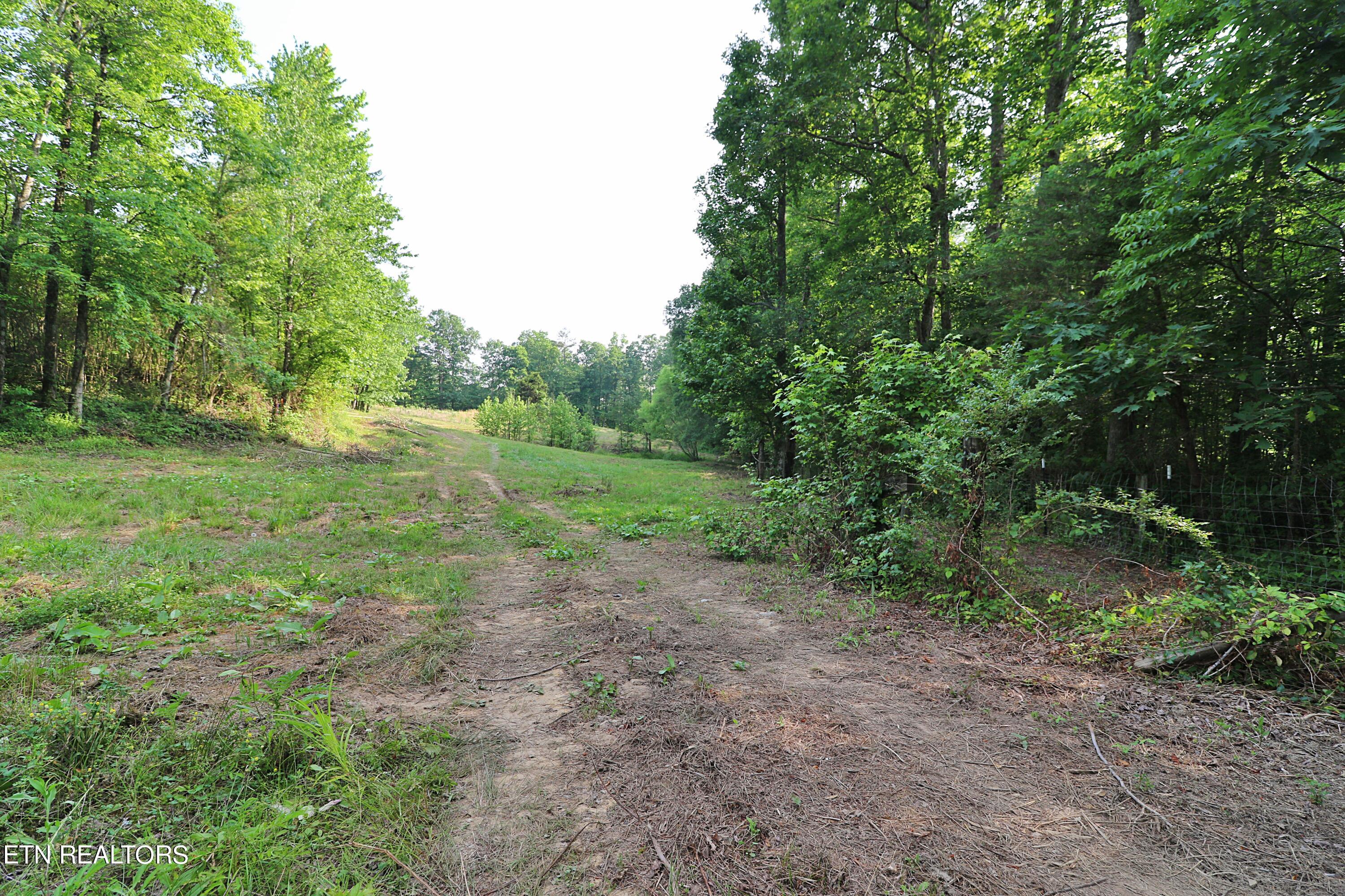 4989 Big Ridge Road Property Photo 39