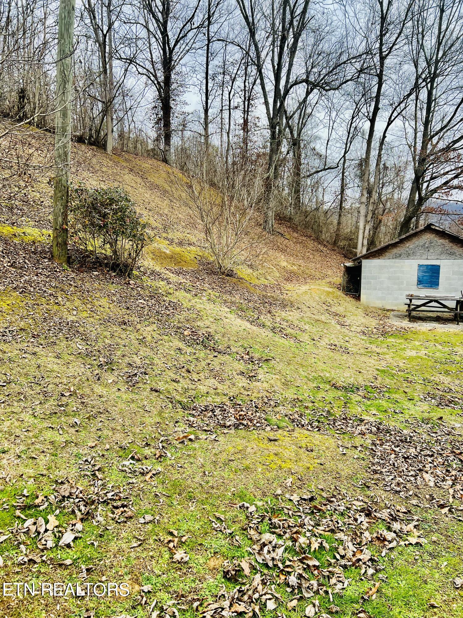 126 Brick Drive Property Photo 7