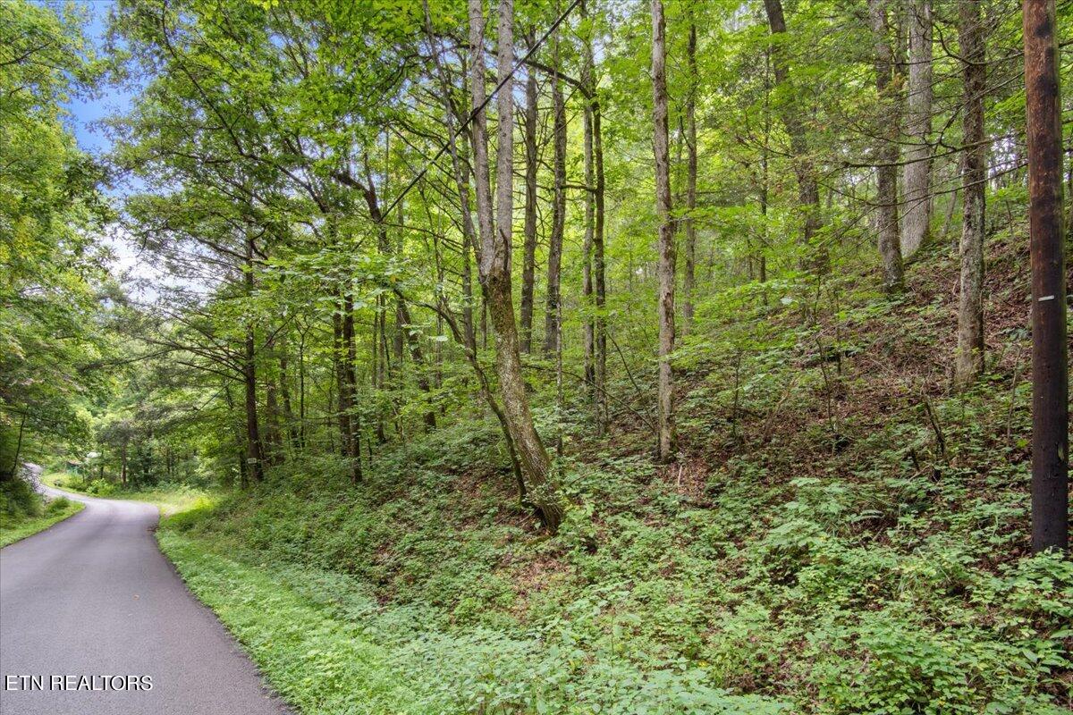 Melvin Hollow Rd Property Photo