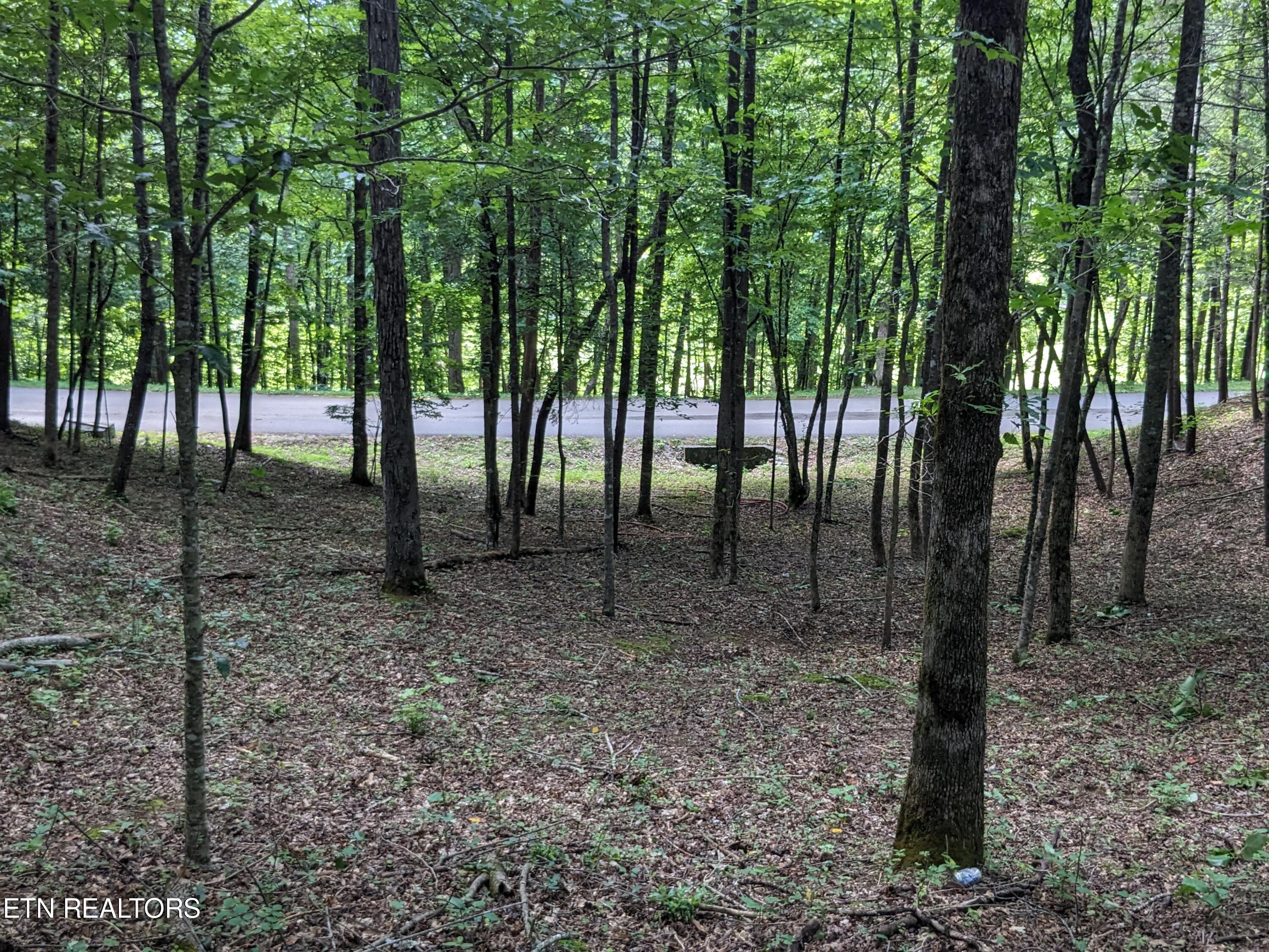 742 Hunters Run Rd Property Photo