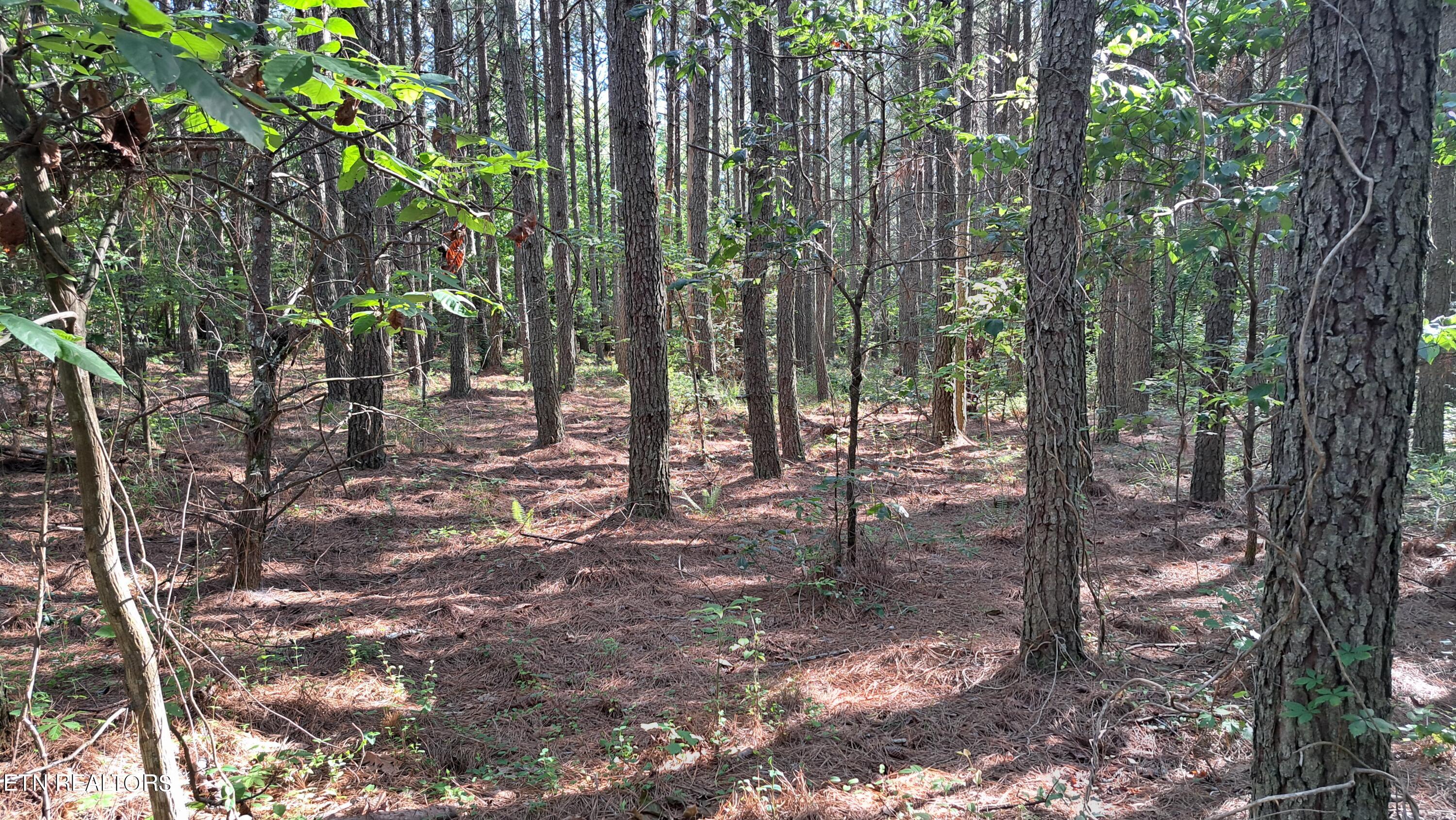 Airport Rd - Lot 8 (pca) Property Photo 2