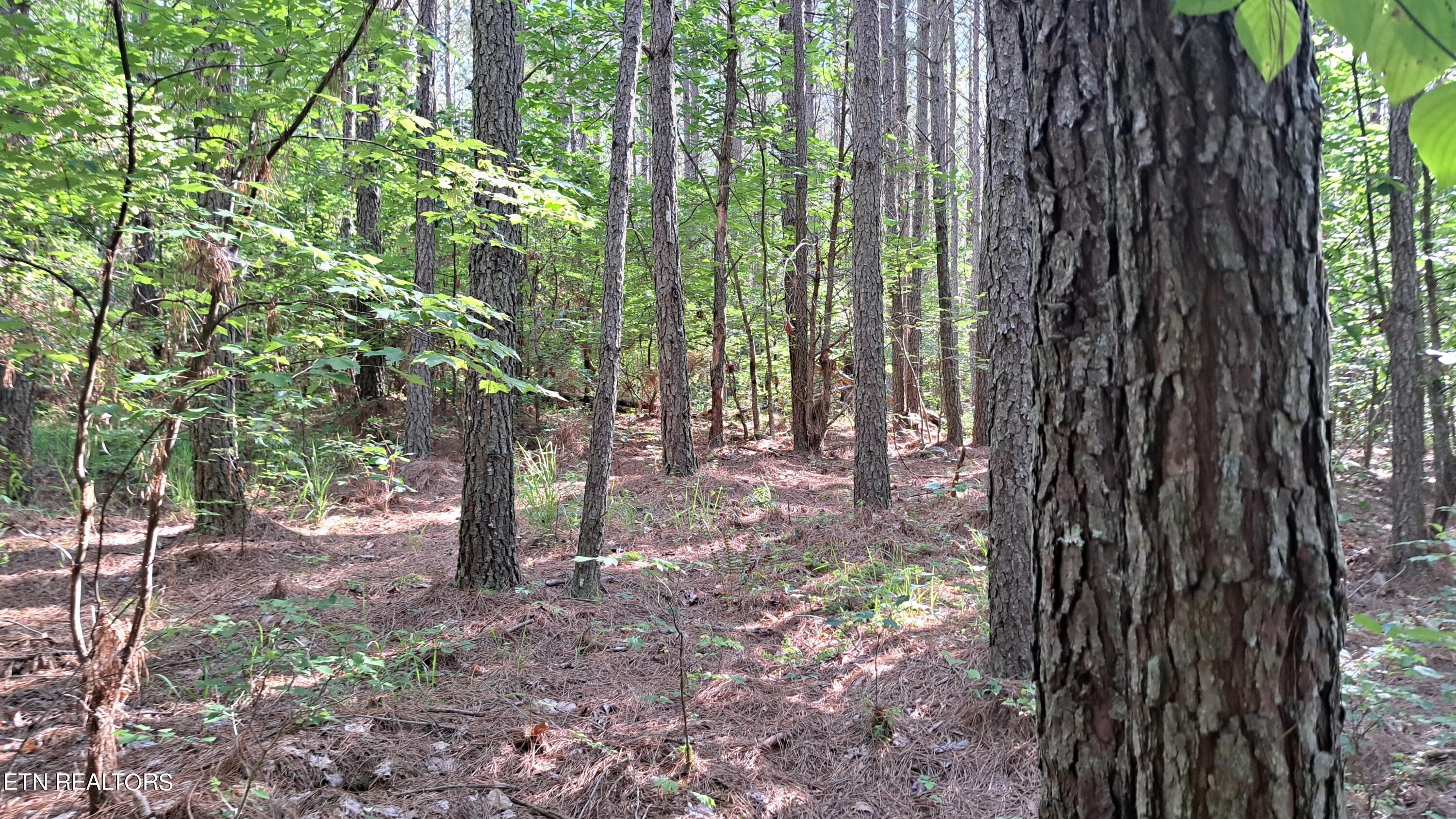 Airport Rd - Lot 8 (pca) Property Photo 3
