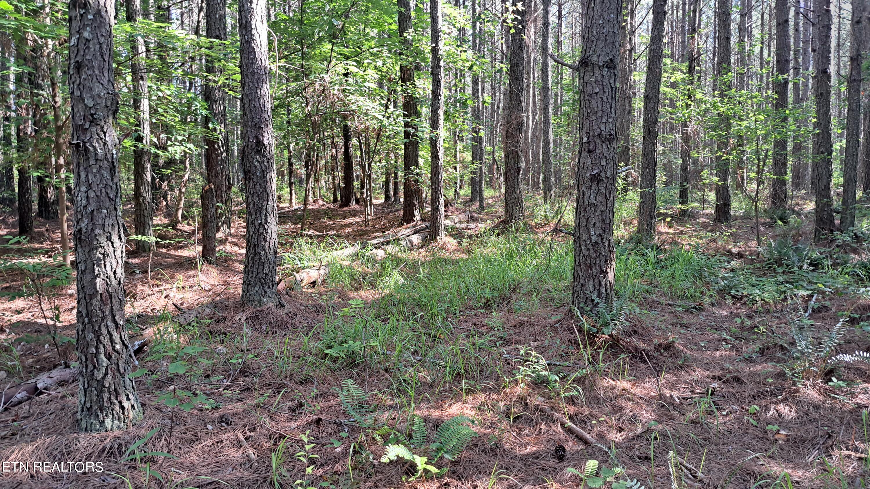 Airport Rd - Lot 8 (pca) Property Photo 4
