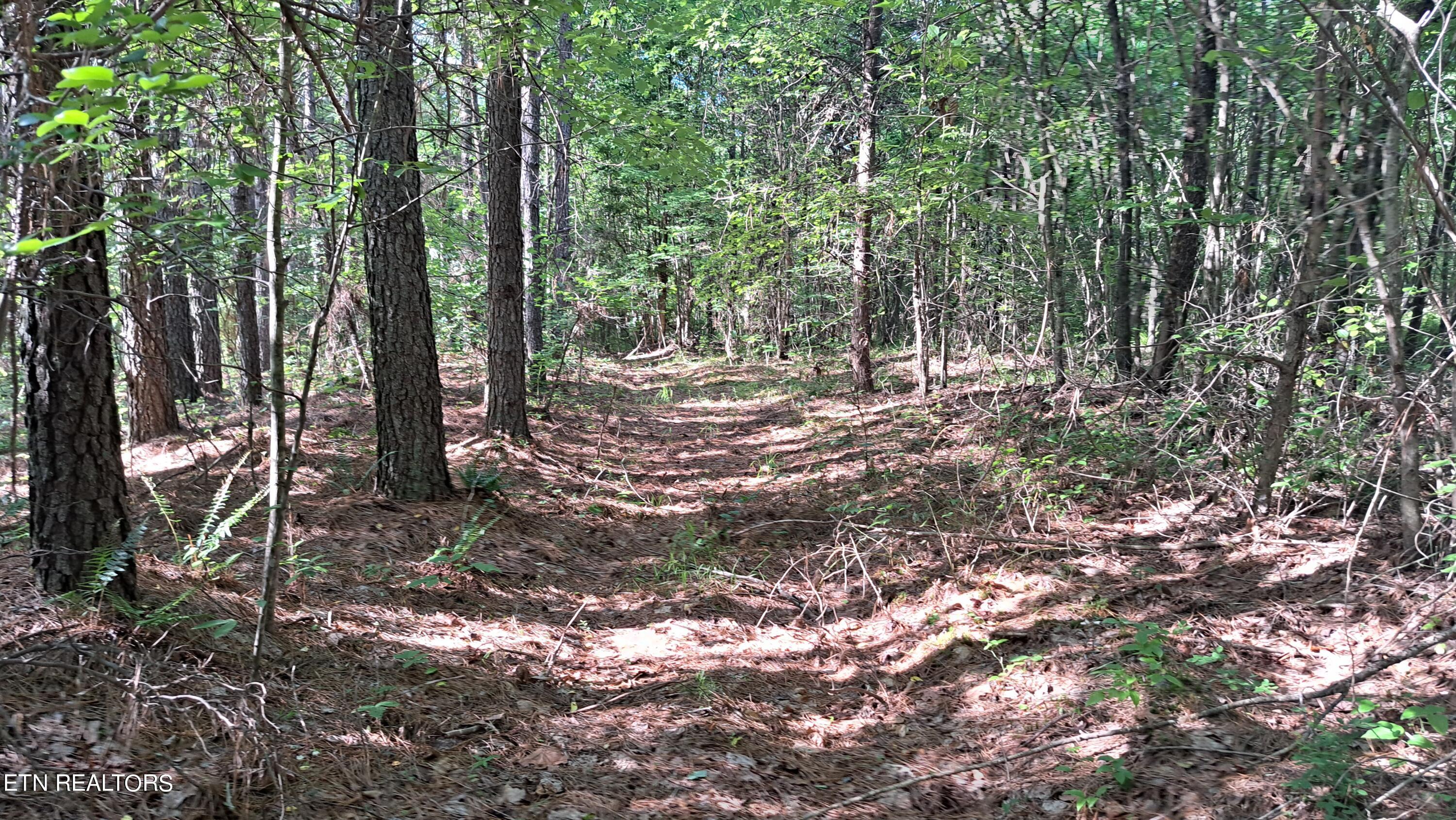 Airport Rd - Lot 8 (pca) Property Photo 6
