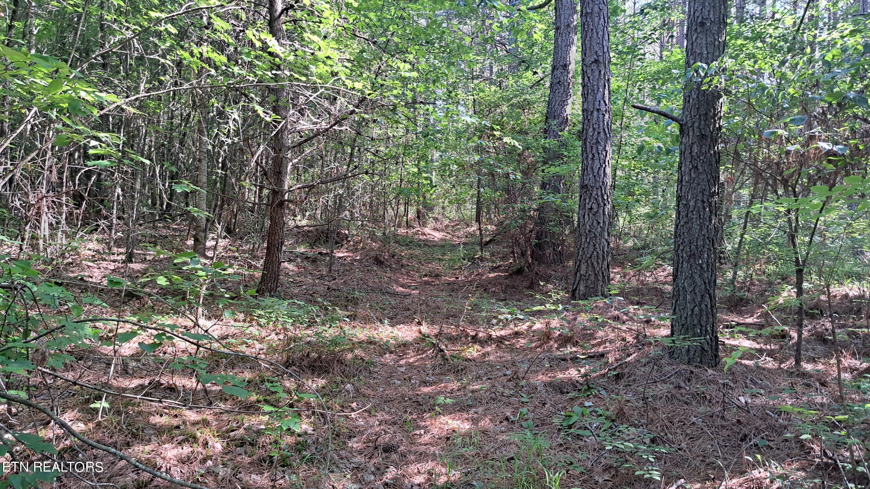 Airport Rd - Lot 8 (pca) Property Photo 7