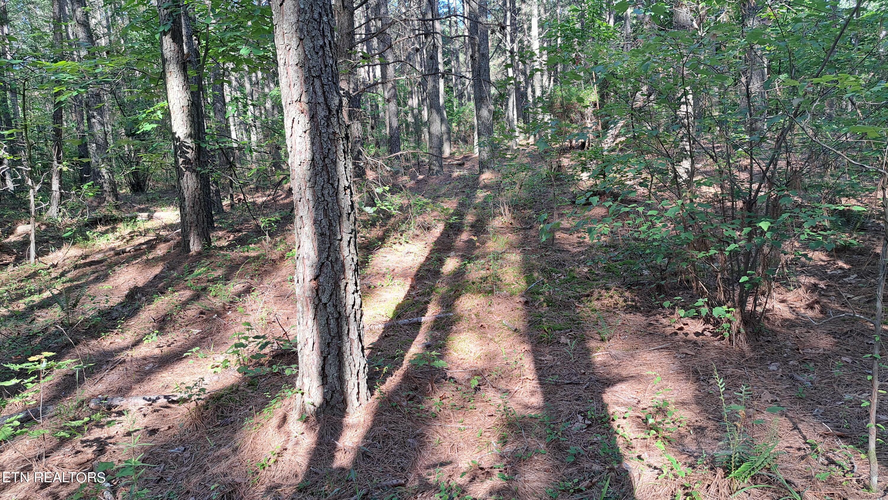 Airport Rd - Lot 8 (pca) Property Photo 12