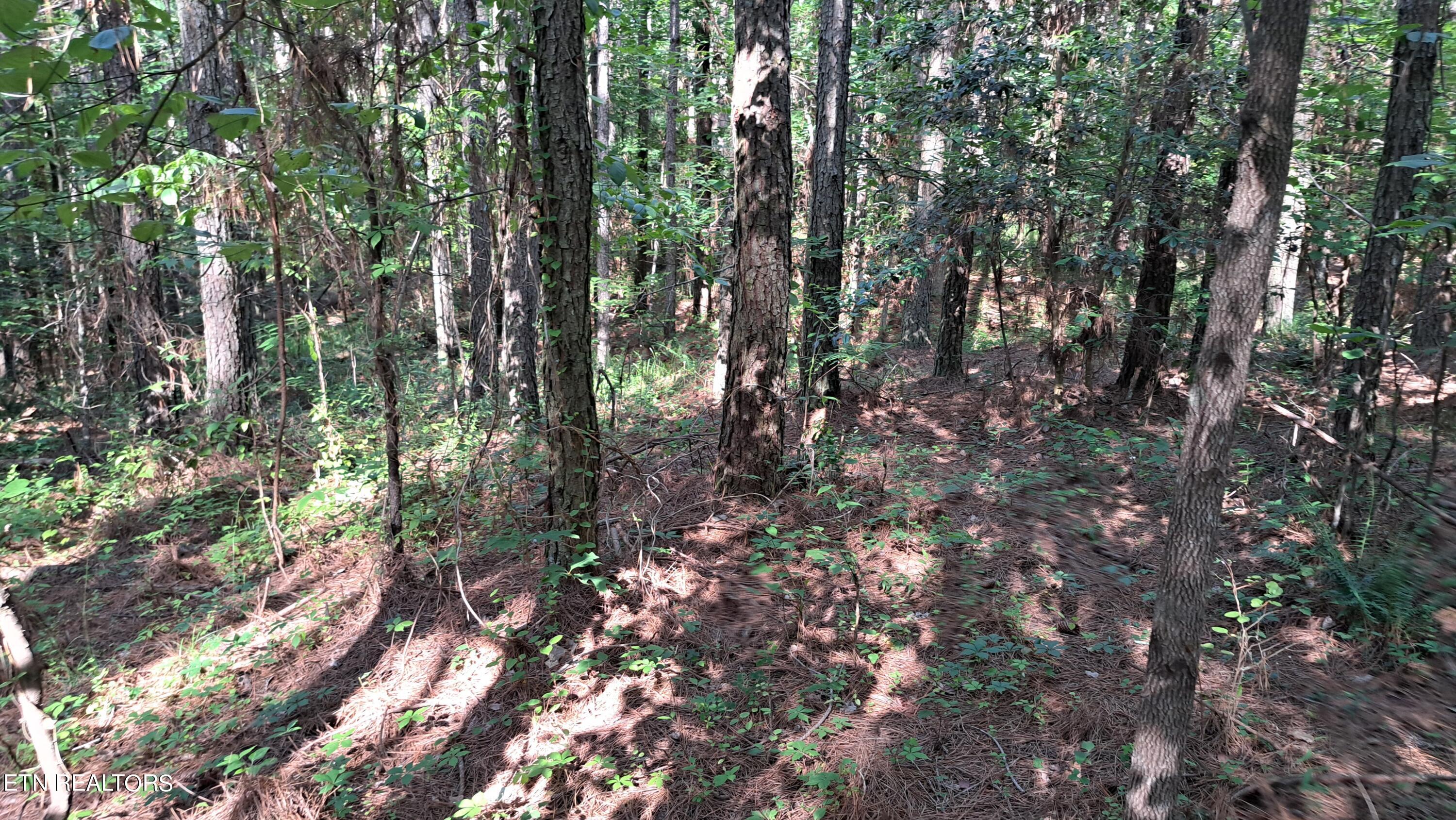 Airport Rd - Lot 8 (pca) Property Photo 13
