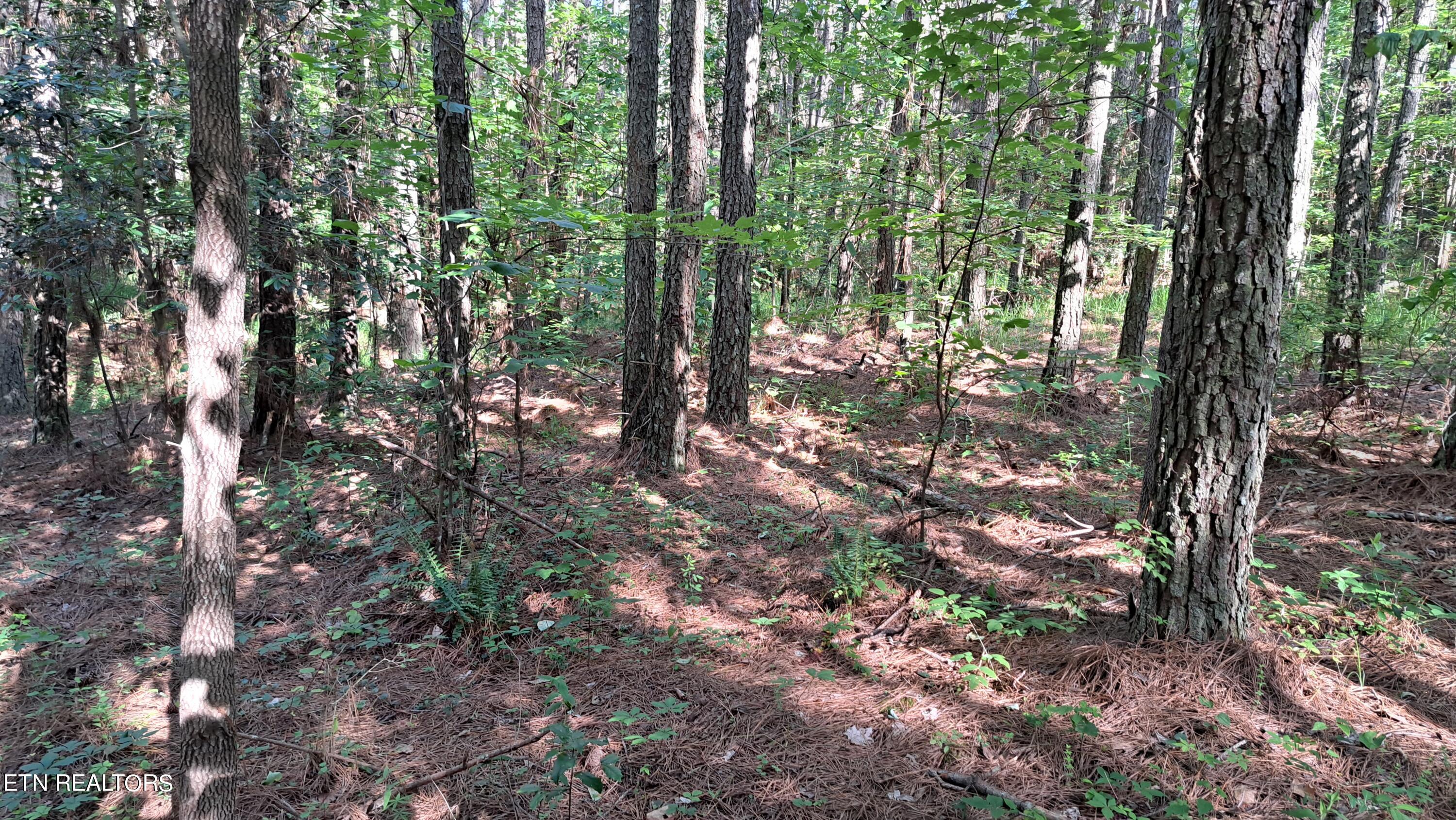Airport Rd - Lot 8 (pca) Property Photo 14
