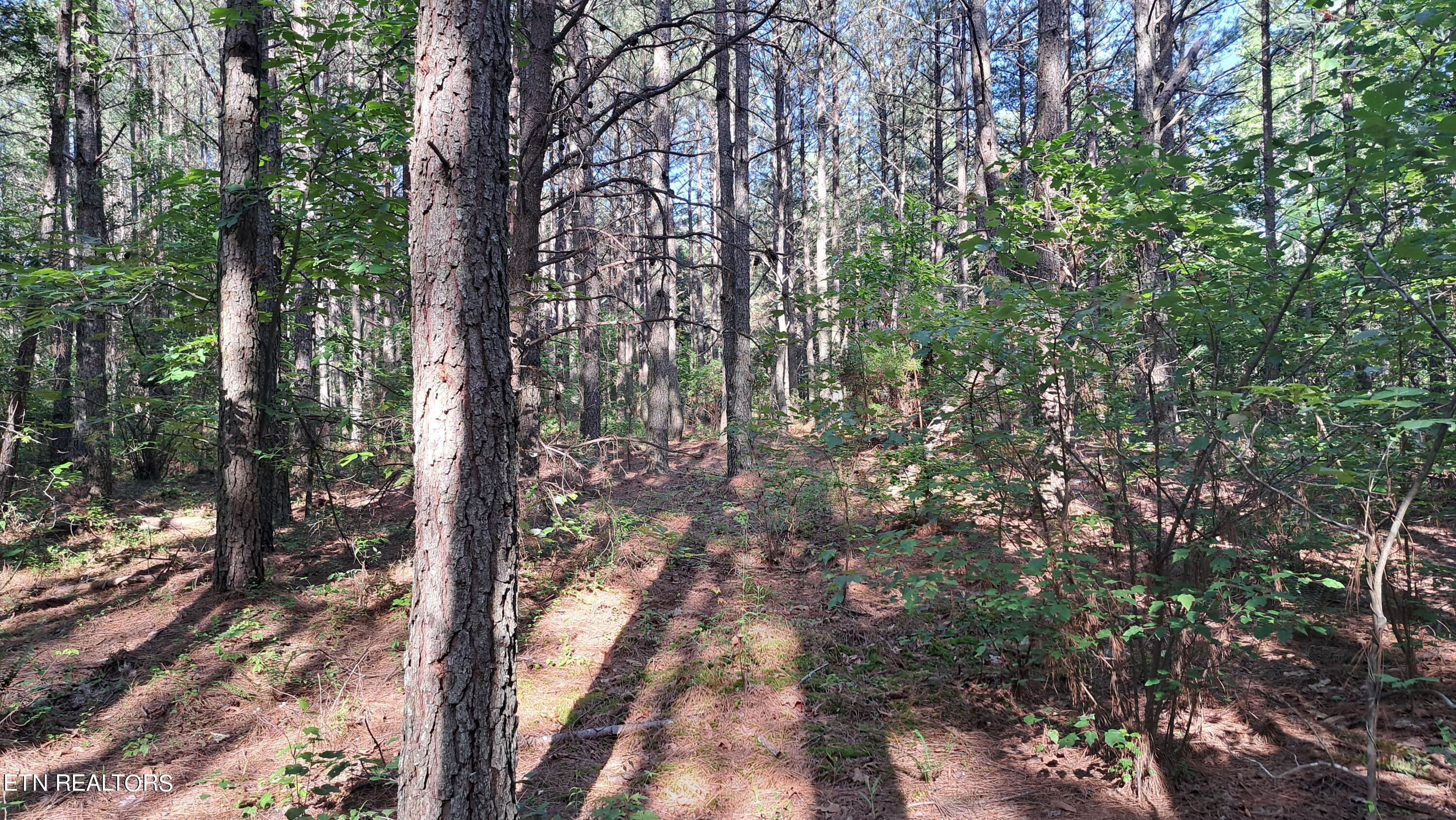 Airport Rd - Lot 8 (pca) Property Photo 15