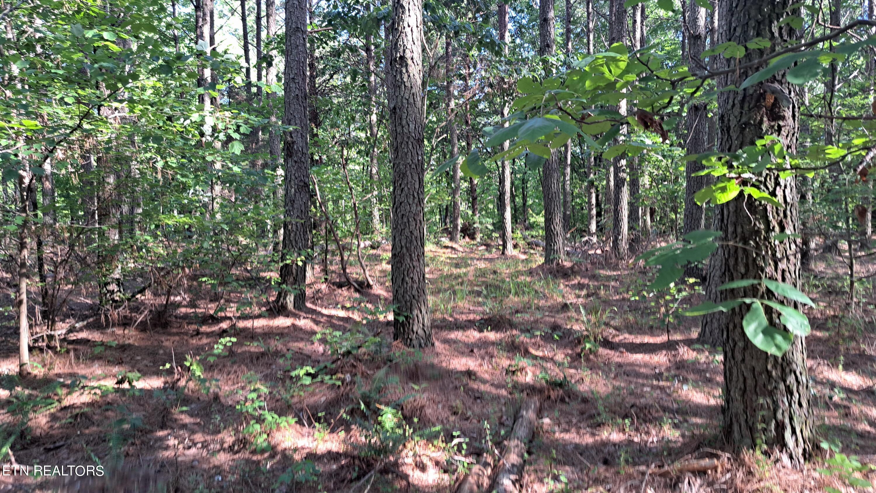 Airport Rd - Lot 8 (pca) Property Photo 16
