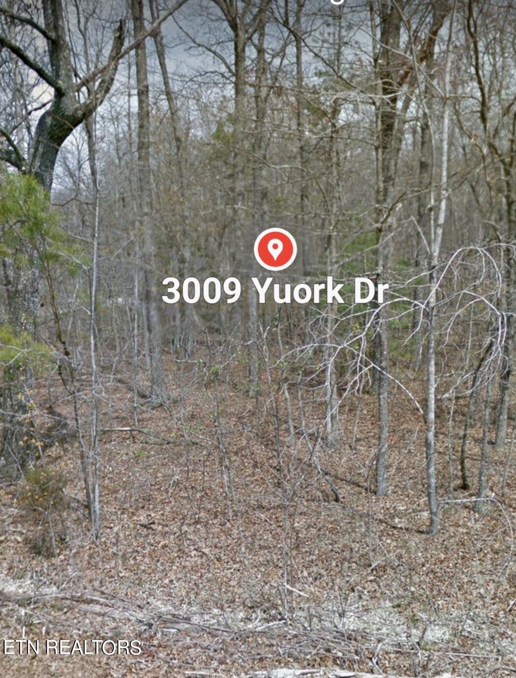 3009 Yuork Drive Property Photo
