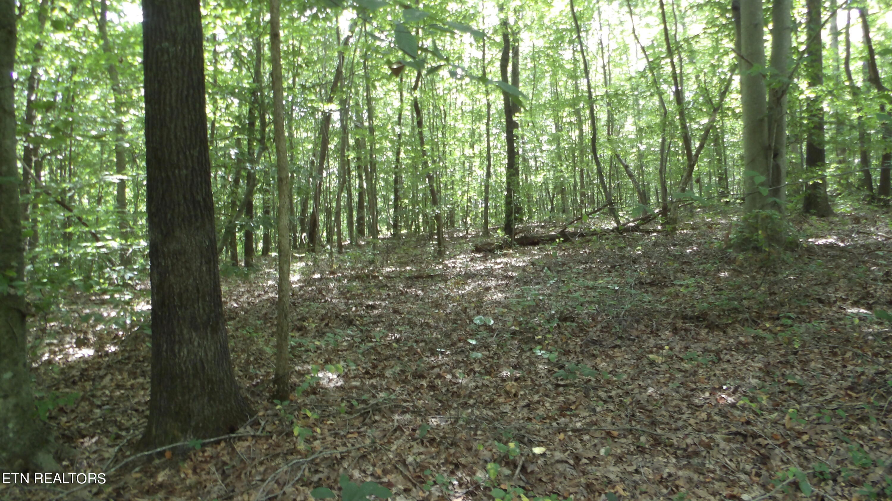 75.54ac Denton Rd Property Photo 1