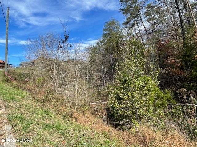 Oak Lake Dr Drive Property Photo