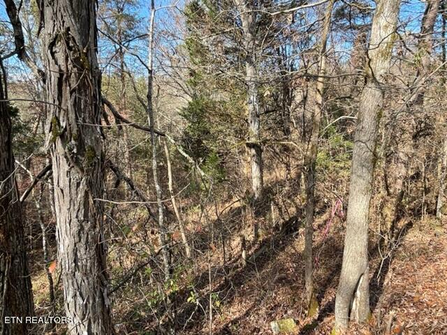 Happy Hollow Lane Lane Property Photo