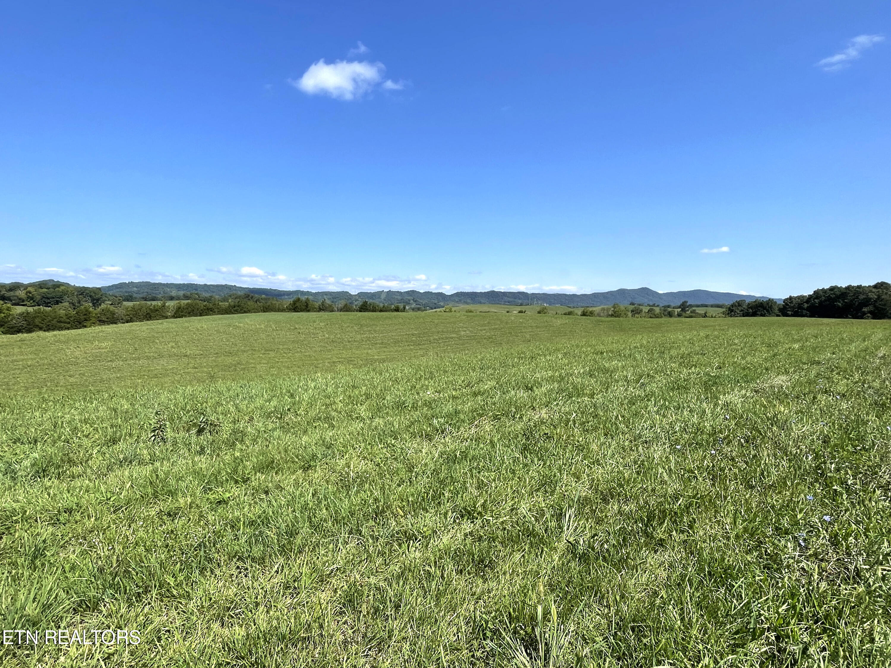 2205 Flatwoods Rd Property Photo
