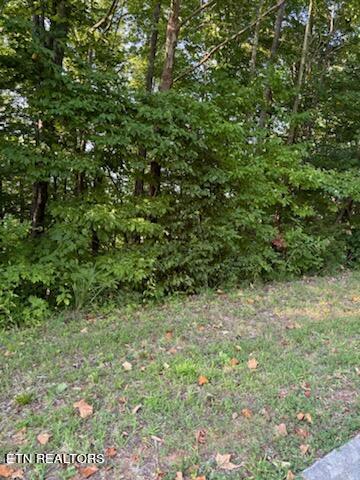 Warbler Point Property Photo
