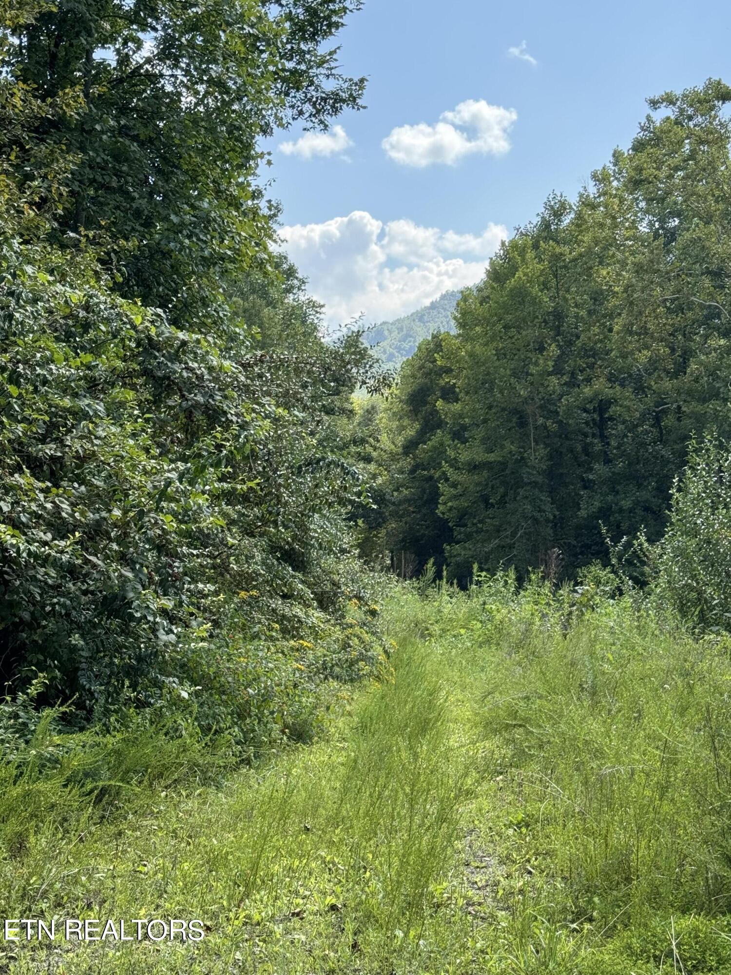Smokey Creek Rd Property Photo