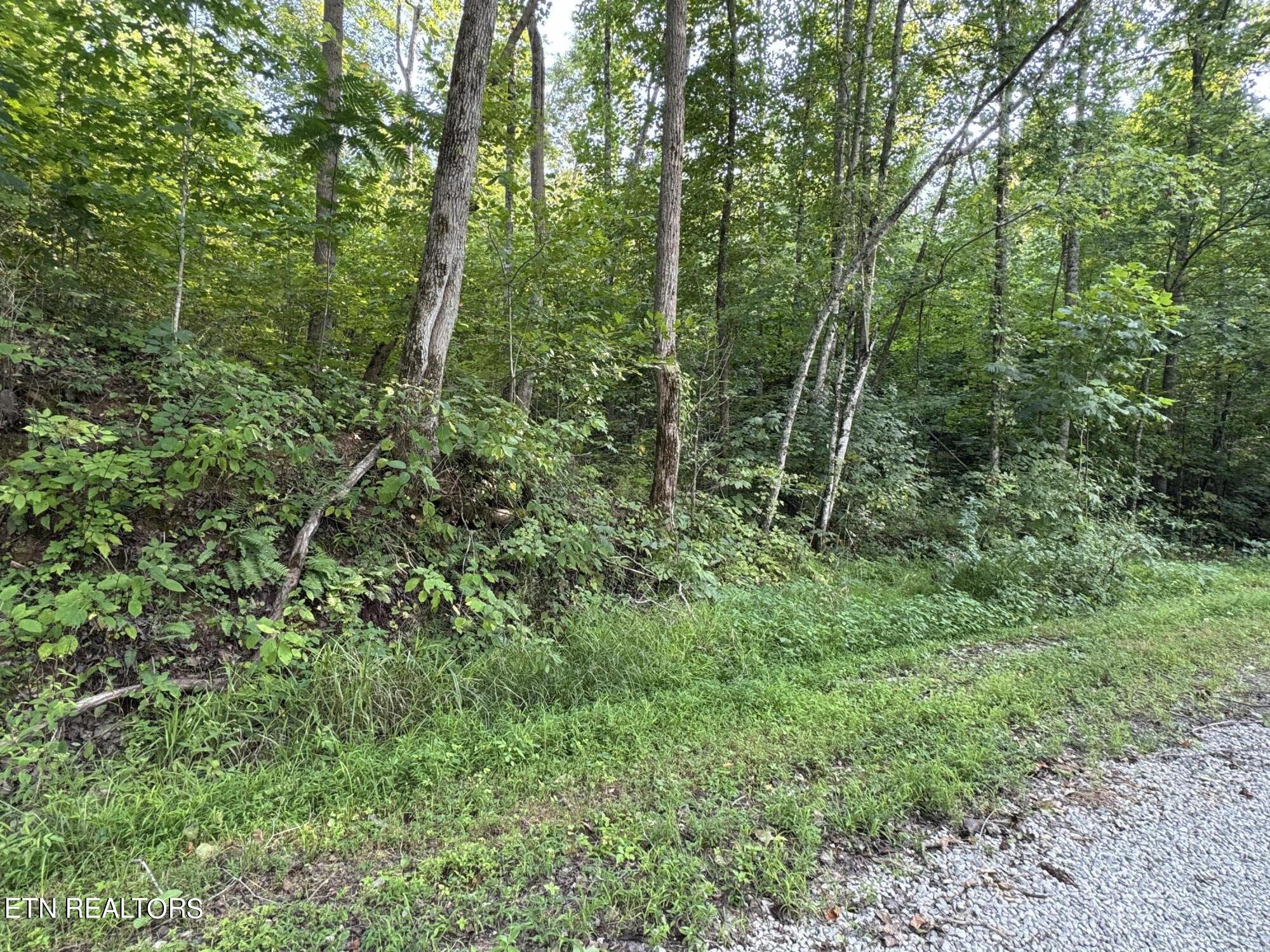Roe(tract 5) Lane Property Photo
