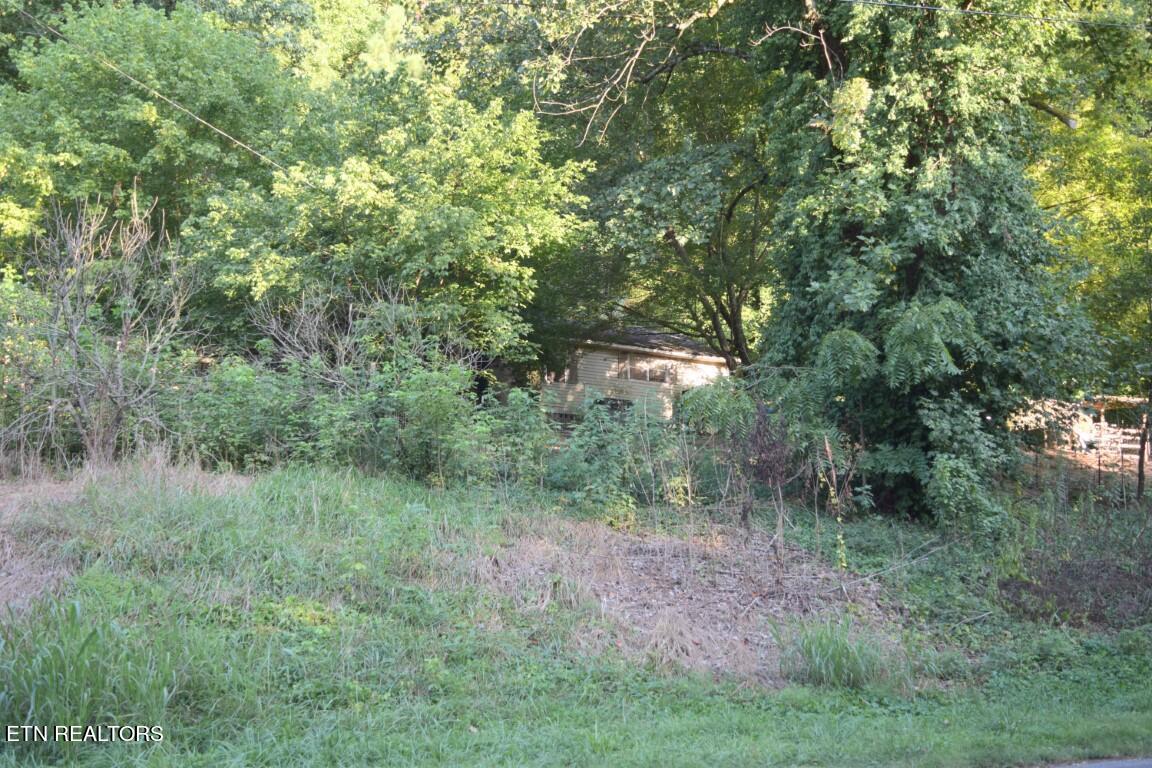 323/17 Ac County Road 2 Property Photo 1