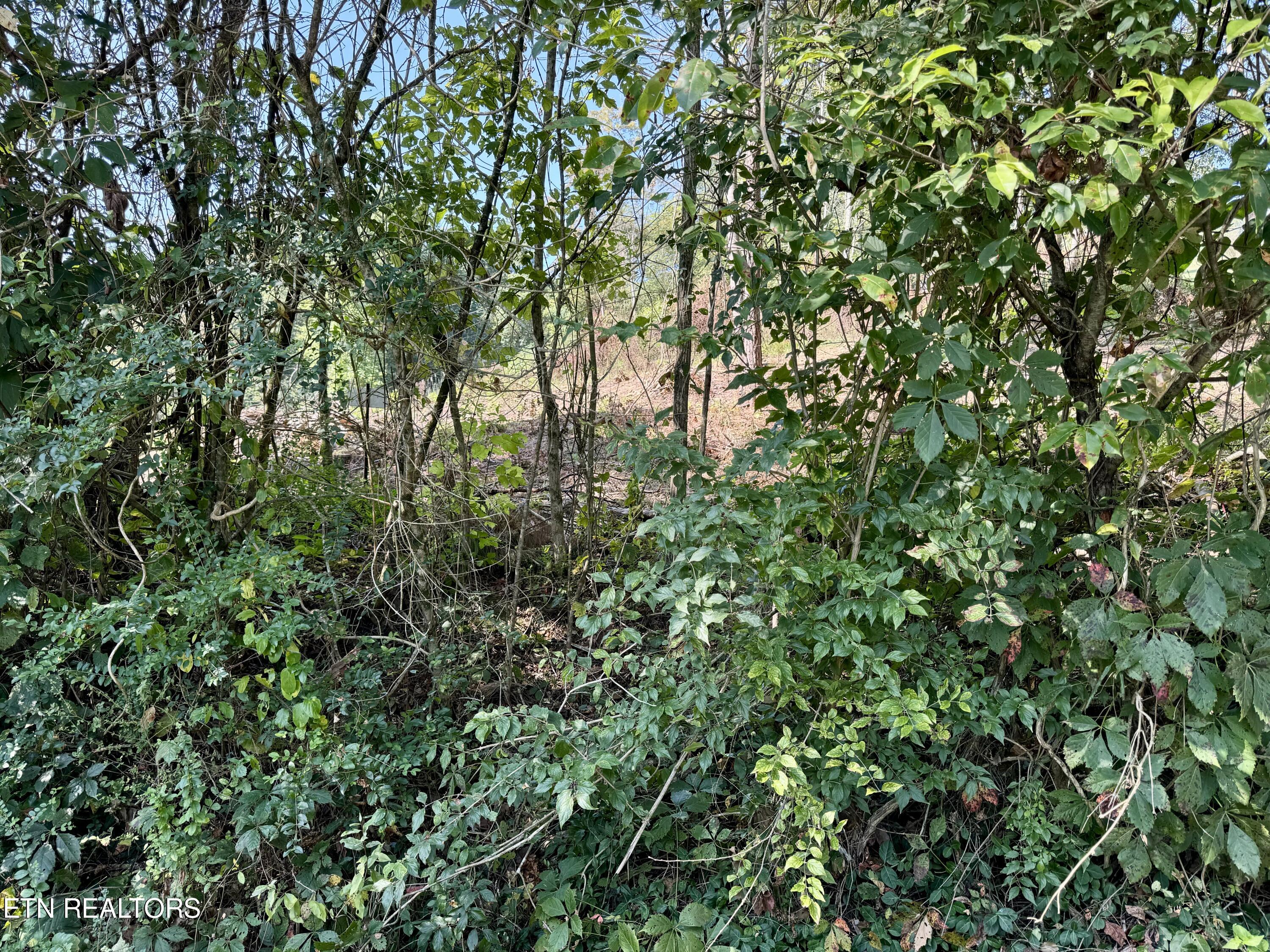 Cherokee Circle Property Photo