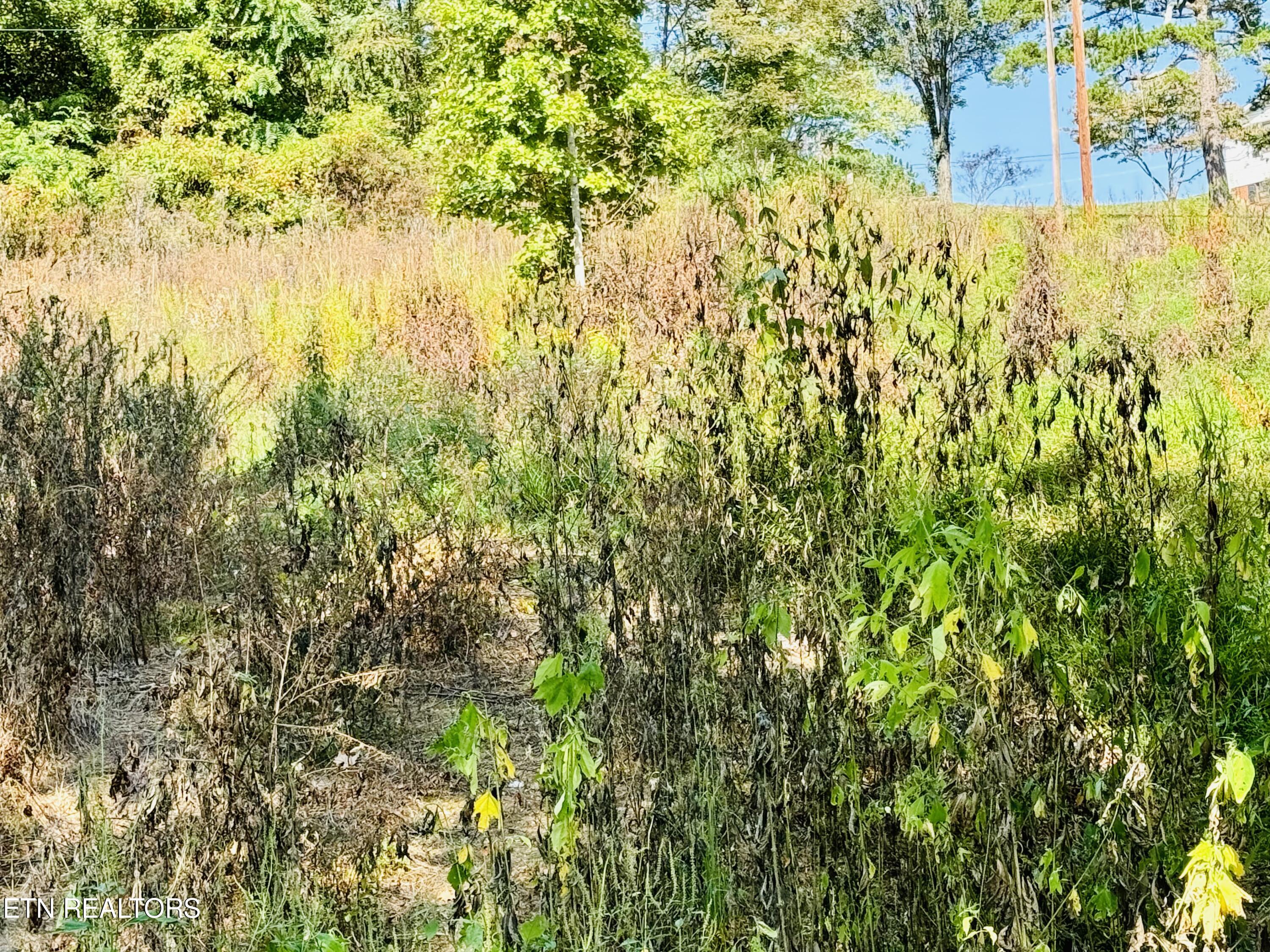 Cherokee Circle Property Photo