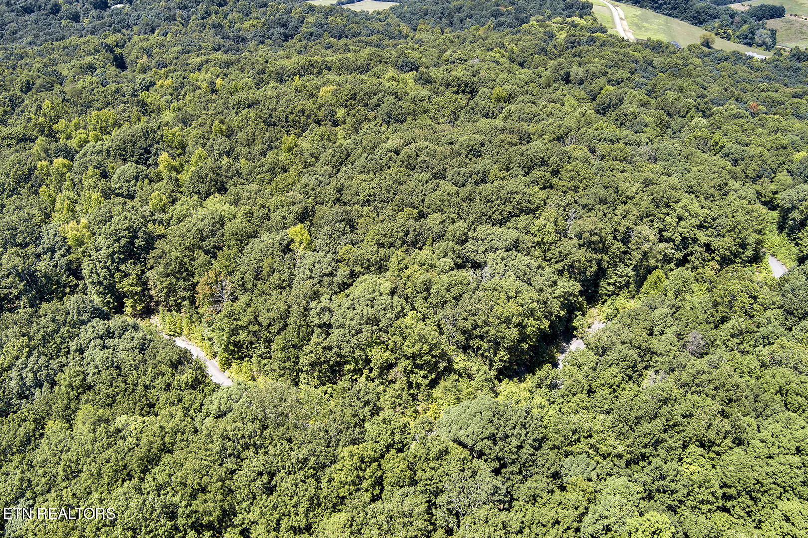 Lot 164 County Road 316 Property Photo