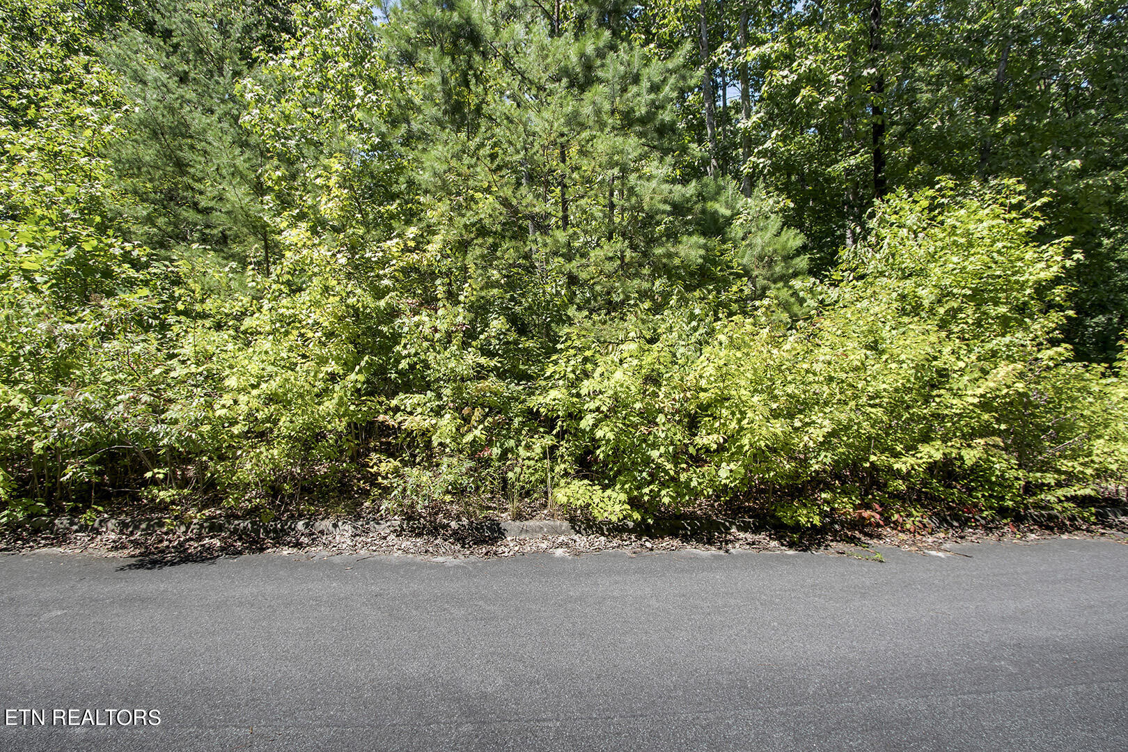 Lot 164 County Road 316 Property Photo 2