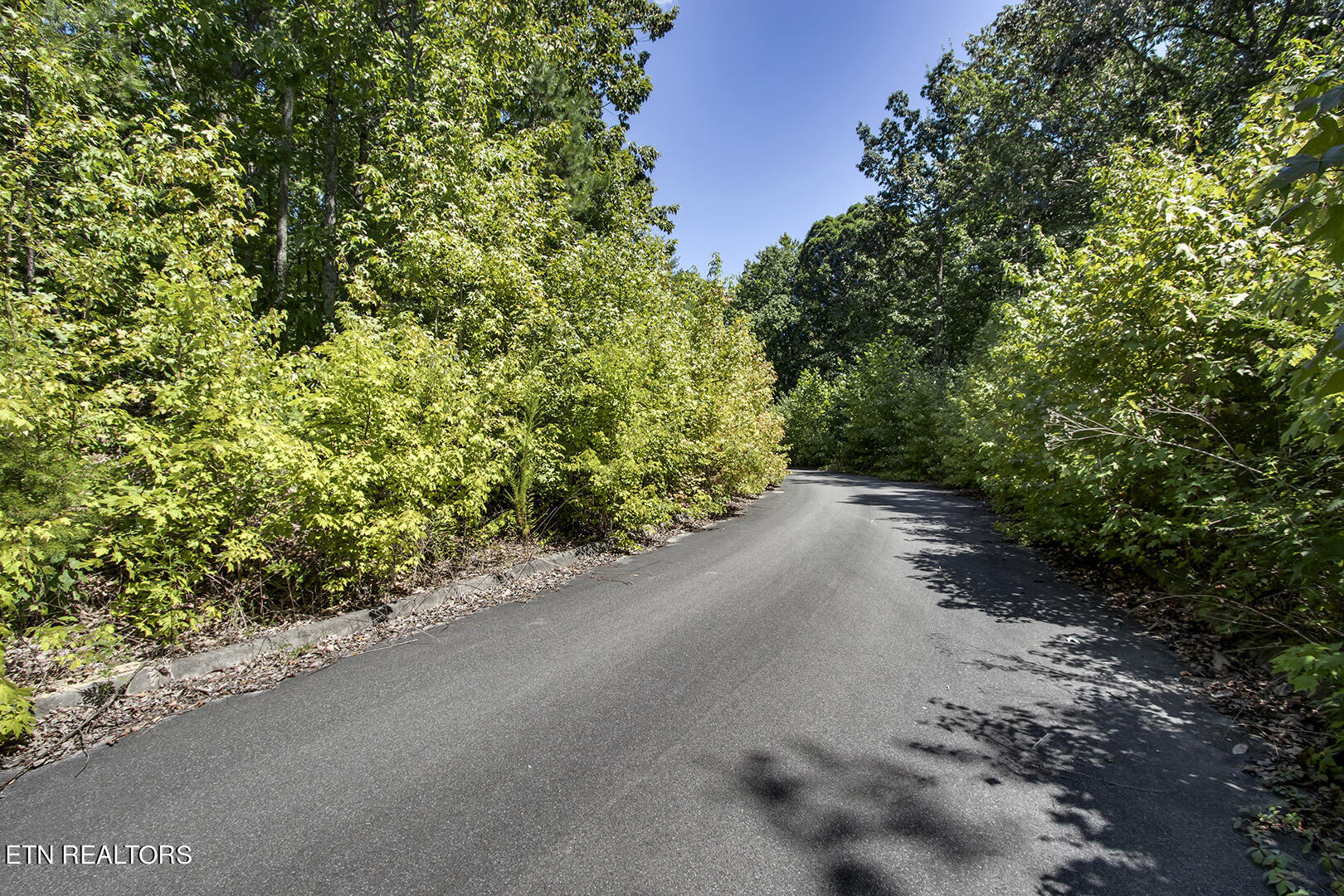 Lot 164 County Road 316 Property Photo 3