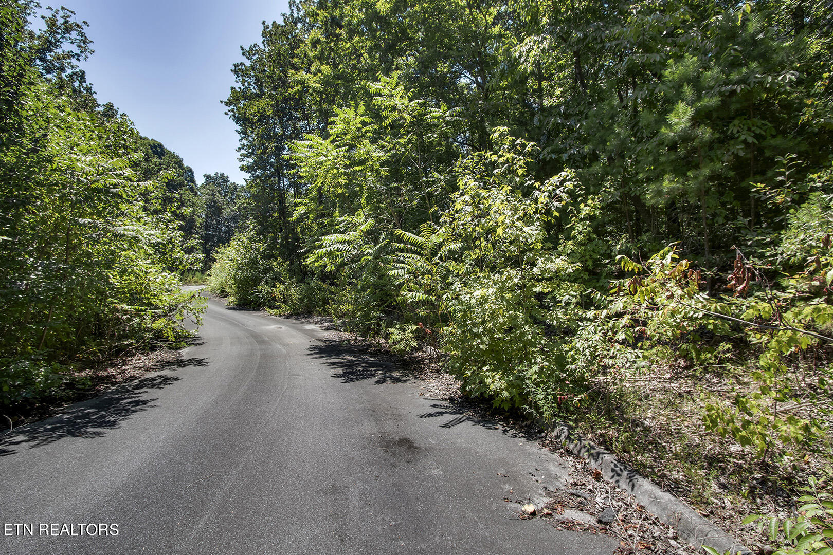 Lot 164 County Road 316 Property Photo 4