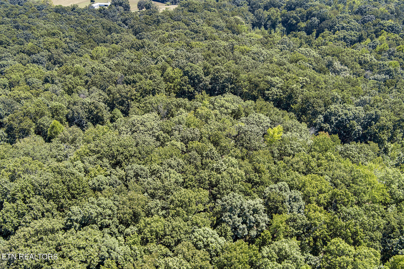 Lot 164 County Road 316 Property Photo 5
