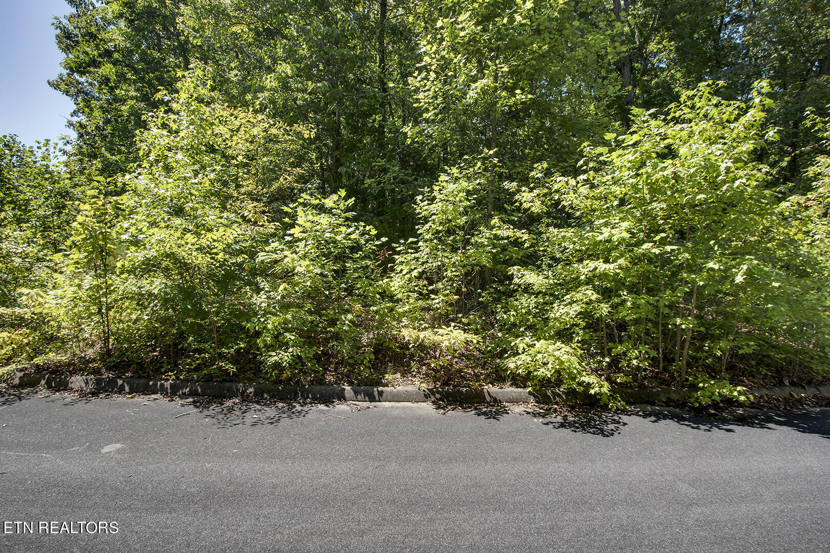 Lot 165 County Road 316 Property Photo 2