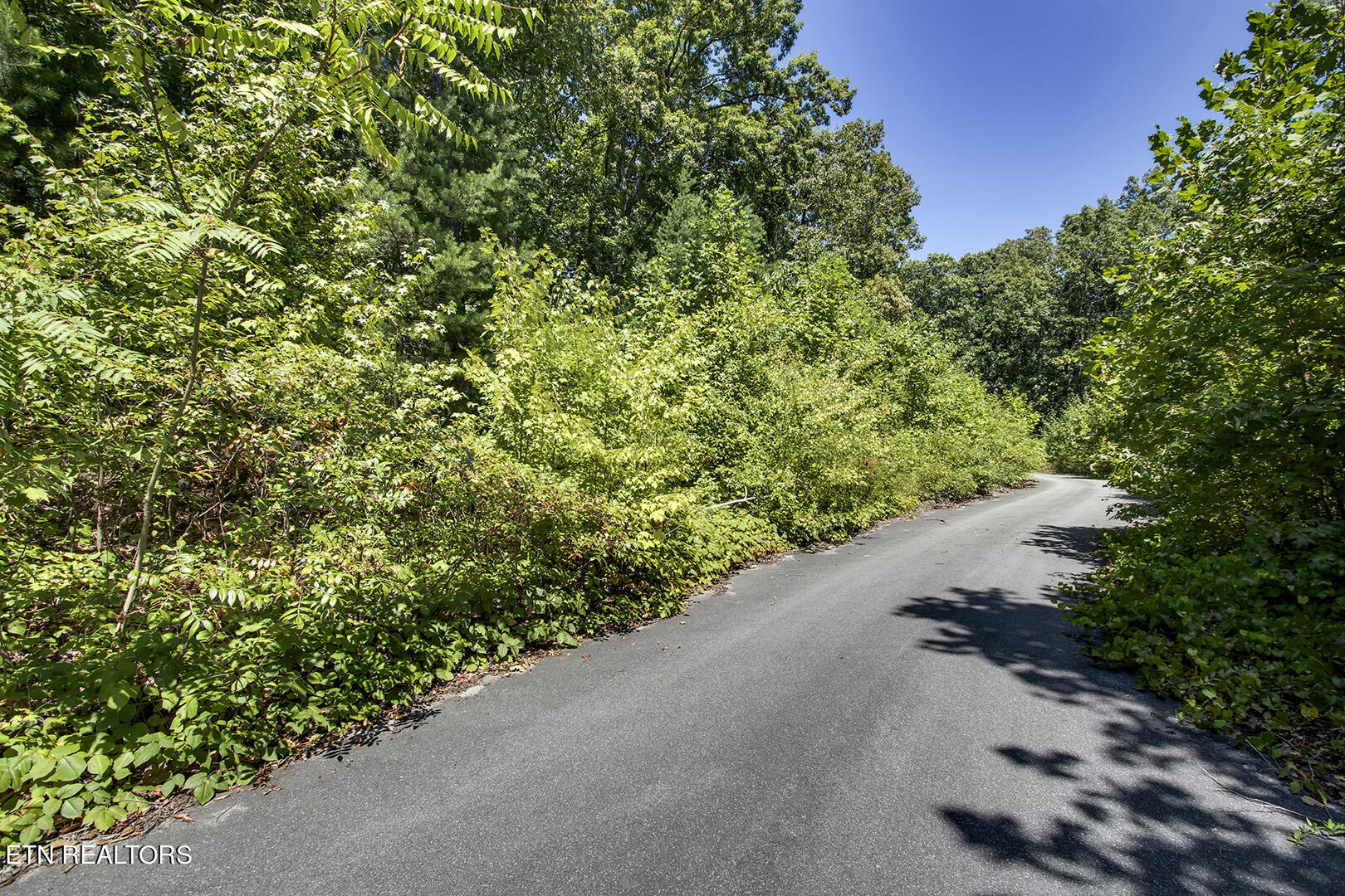 Lot 165 County Road 316 Property Photo 3