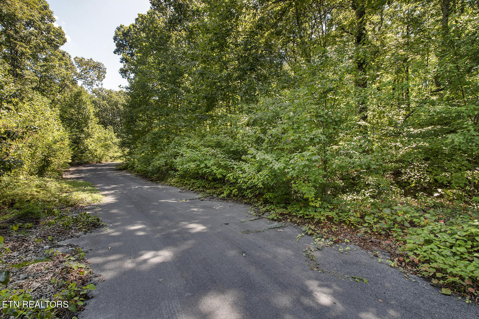 Lot 165 County Road 316 Property Photo 4